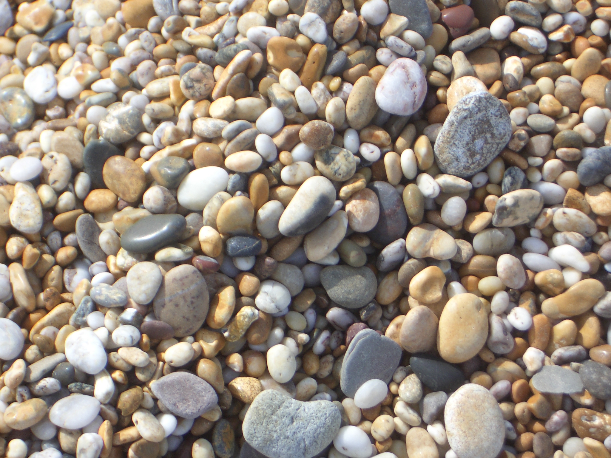 File:Slapton sands pebbles.JPG - Wikipedia