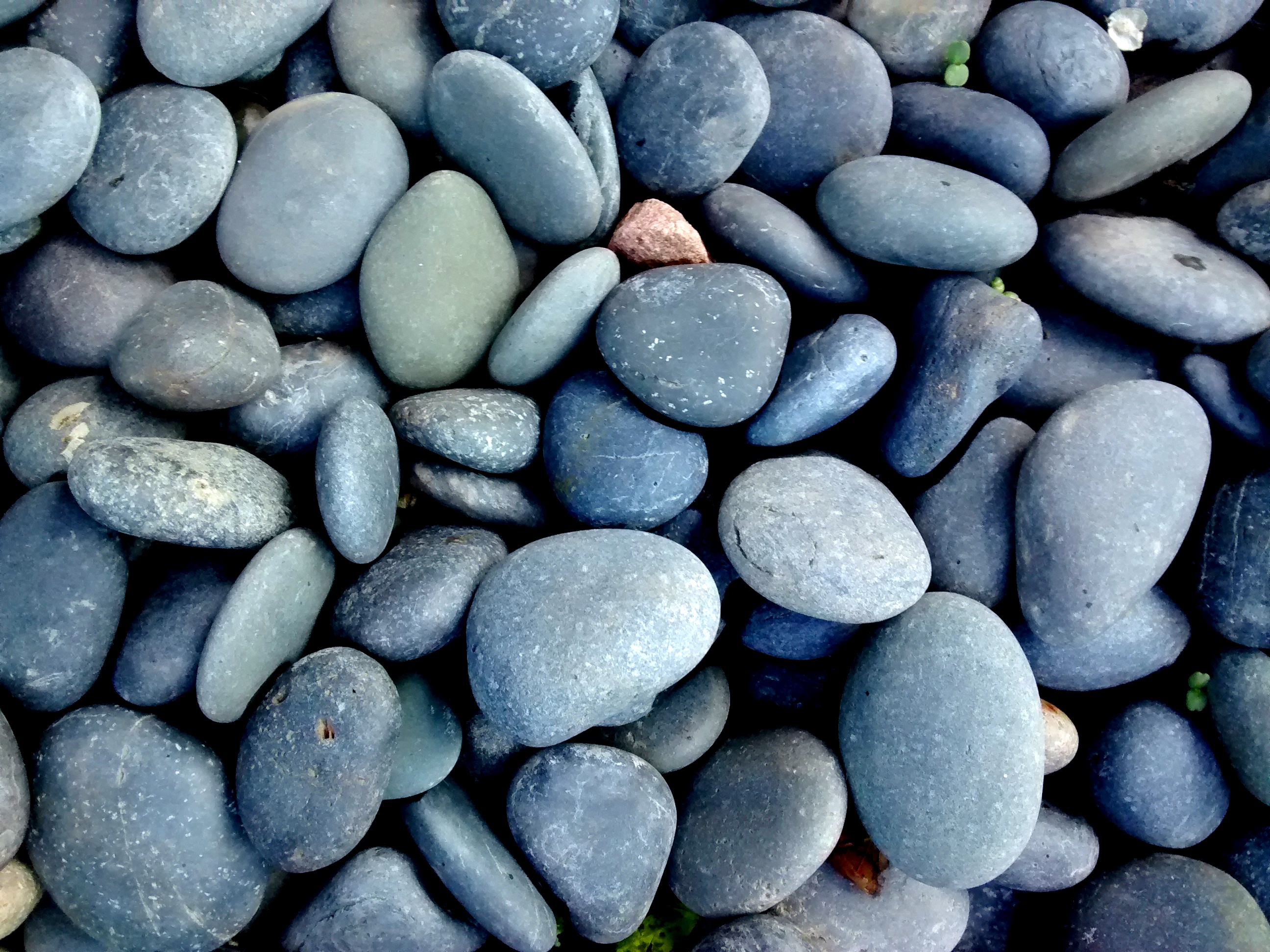 Mexican Beach Pebbles | Albert Montano Sand and Gravel