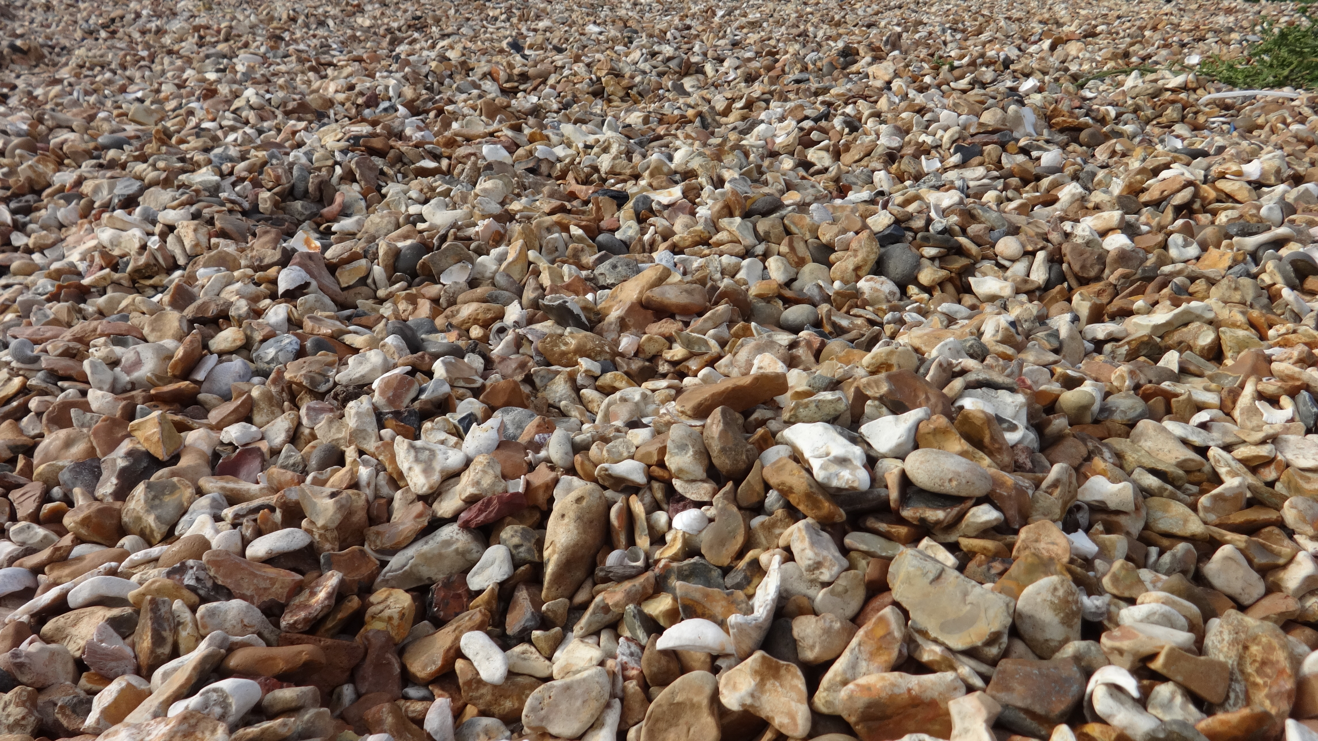 Pebbles, Sea, Shore, HQ Photo
