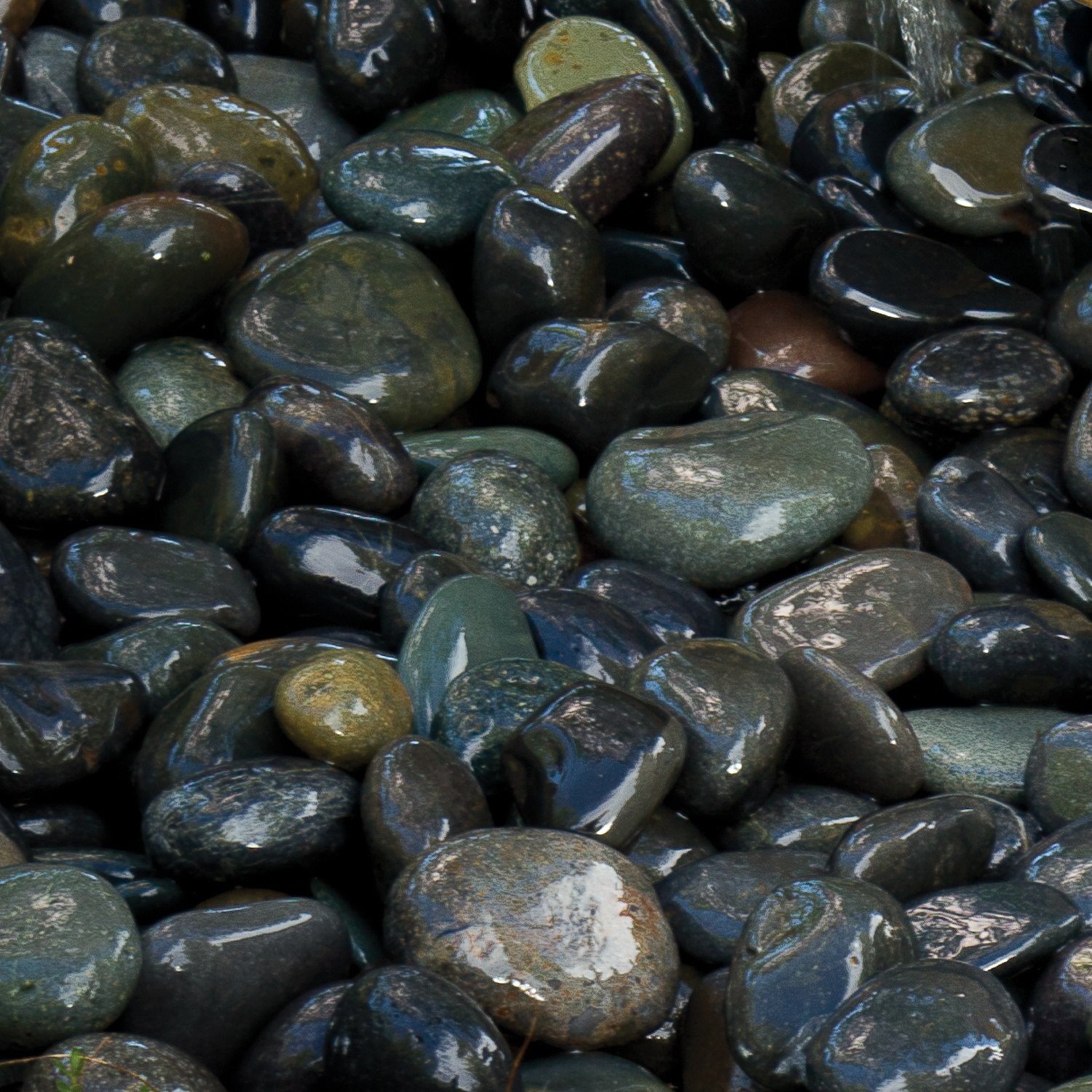 Pebbles – Stone Forest