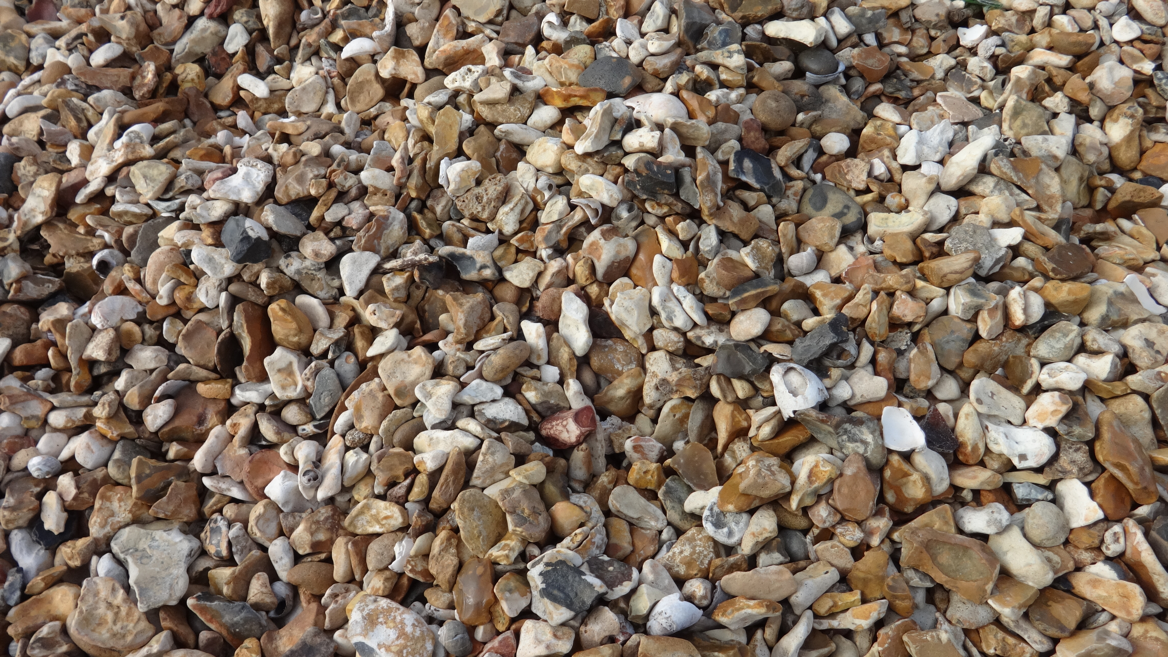 pebbles, Sea, Shore, HQ Photo