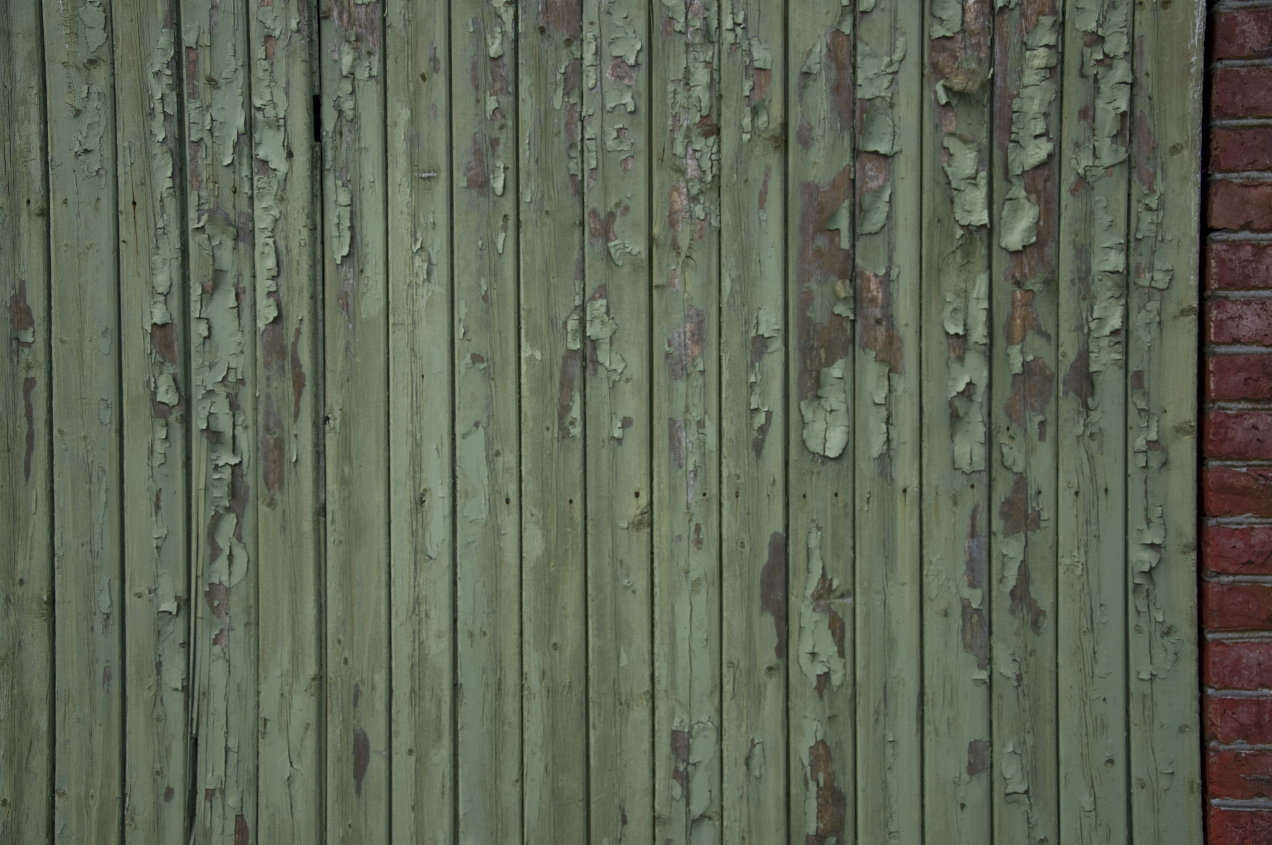 Green Peeling Paint On Door | photo page - everystockphoto