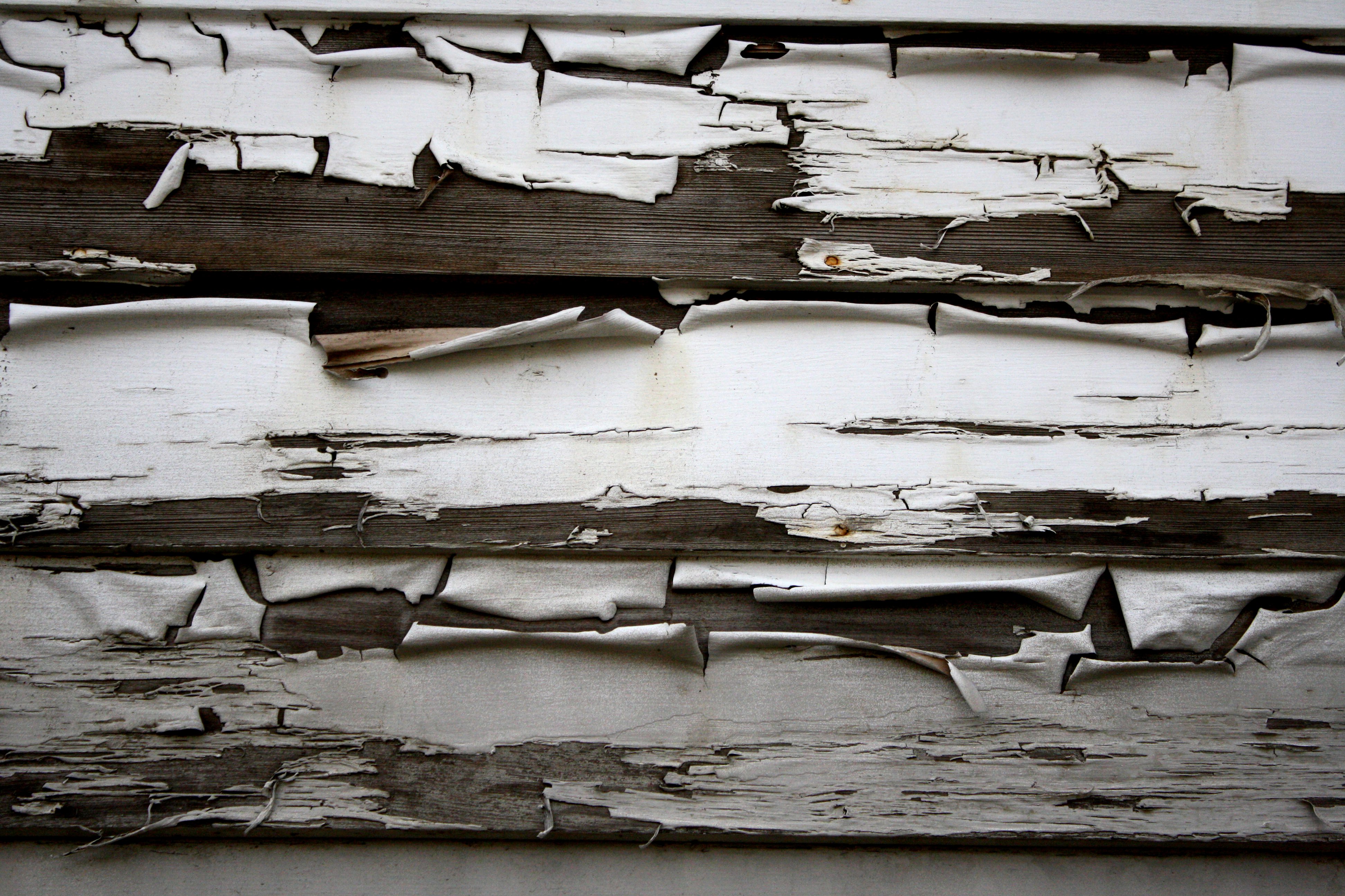 Wood Siding with Peeling Paint Texture Picture | Free Photograph ...