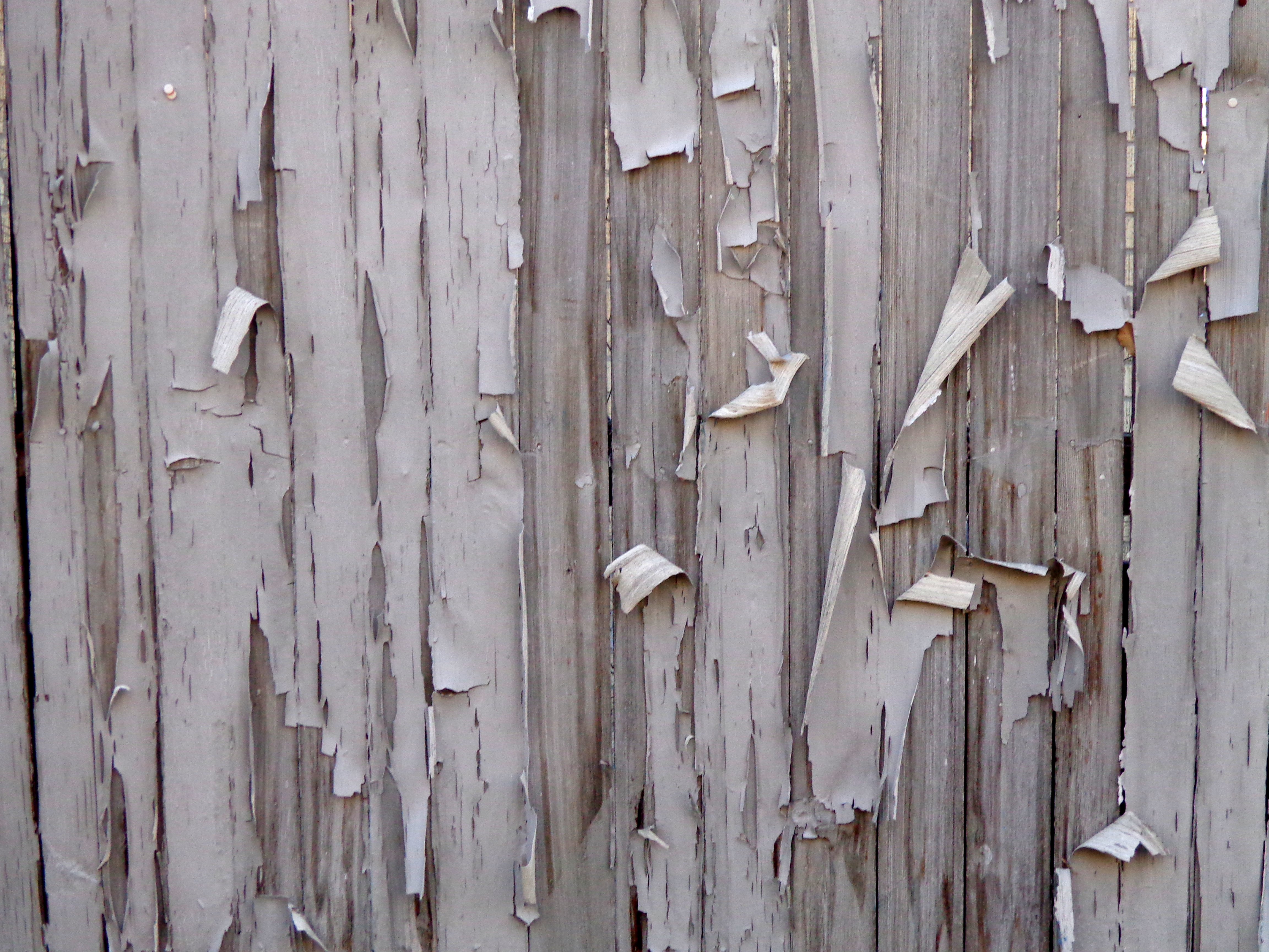 Peeling Paint on Fence Boards Texture Picture | Free Photograph ...