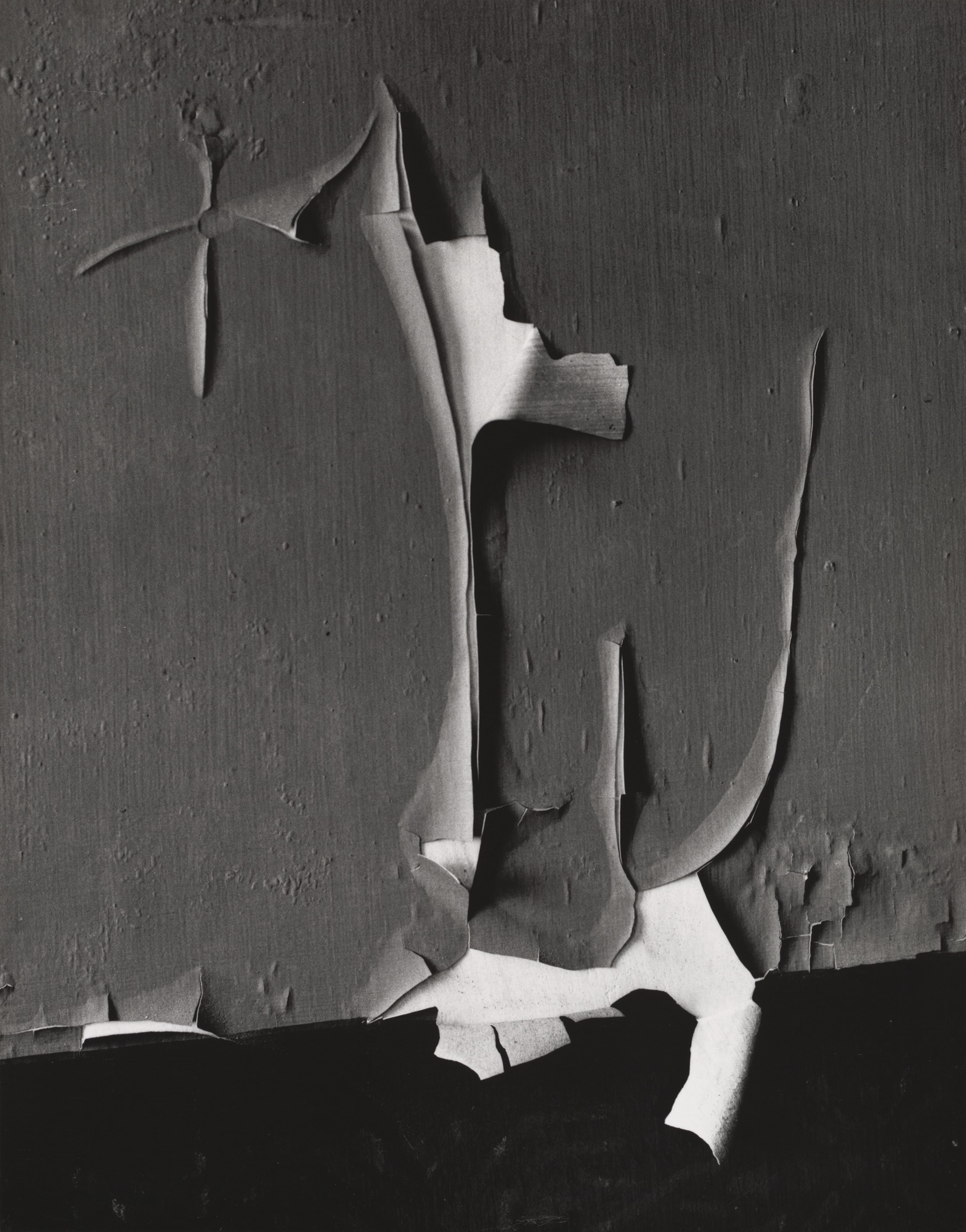 Minor White. Peeled Paint. June 1959 | MoMA