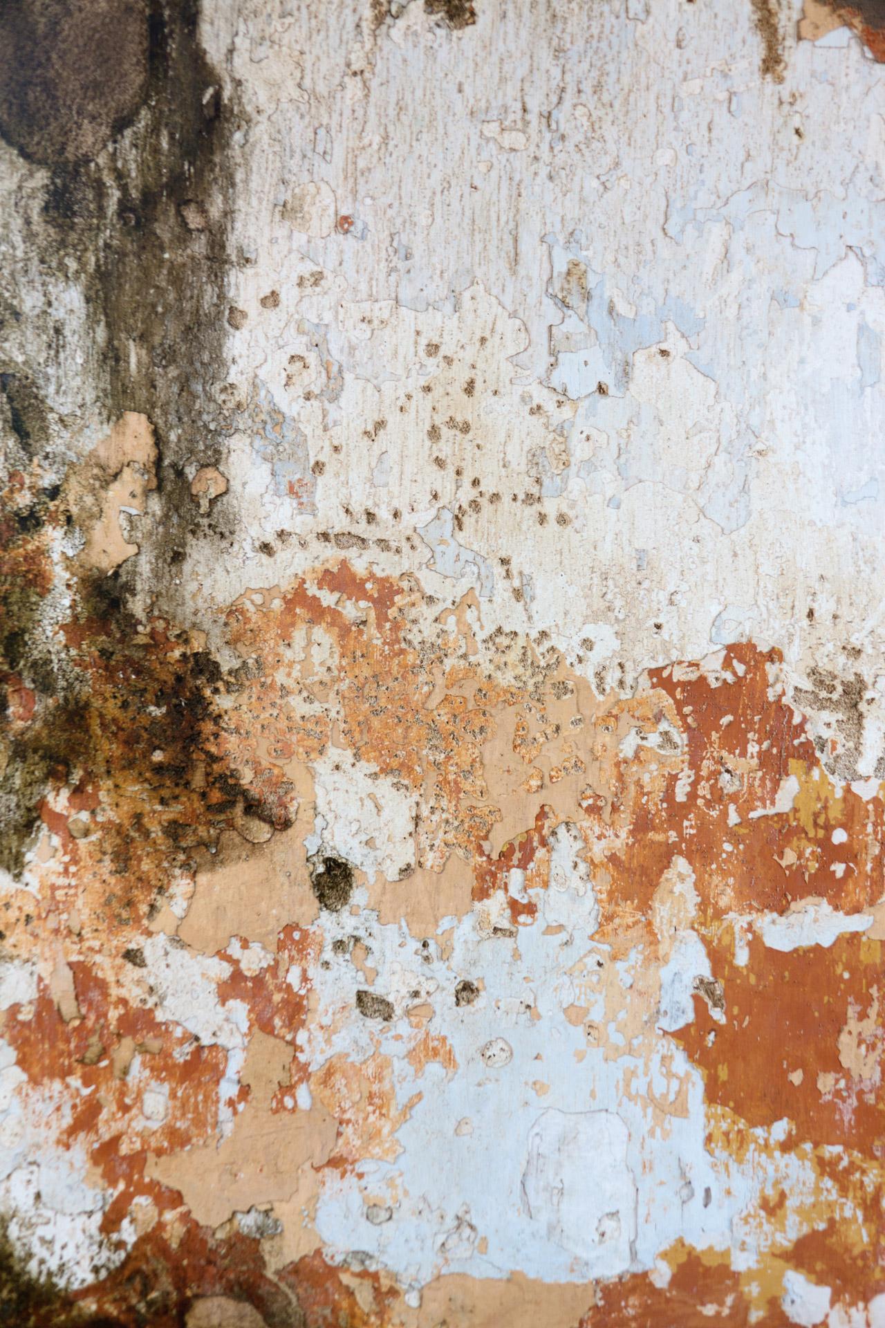 Peeled Paint On Wall Free Stock Photo - Public Domain Pictures