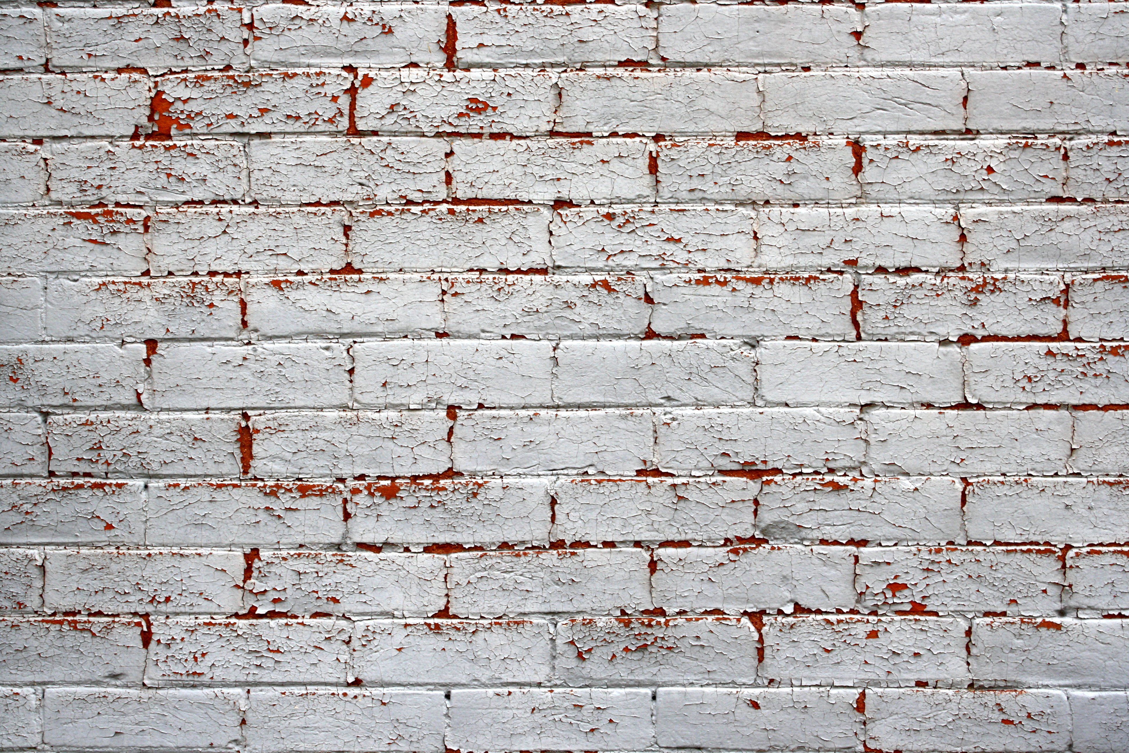 Peeling Painted Brick Wall Texture | Ideas for painting my brick ...