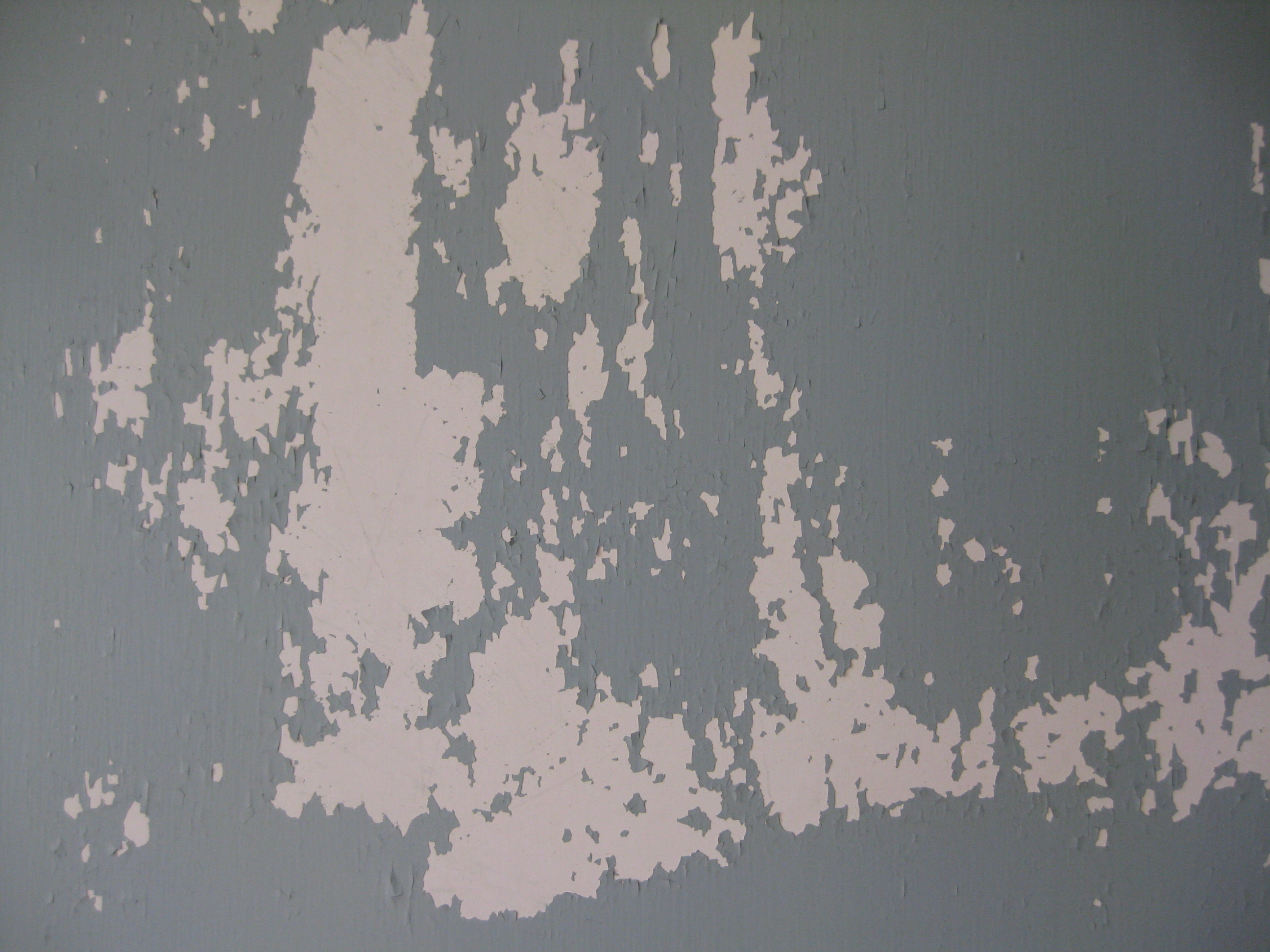 Painting, Alligatoring Paint and Plaster Walls – Preservation in Pink