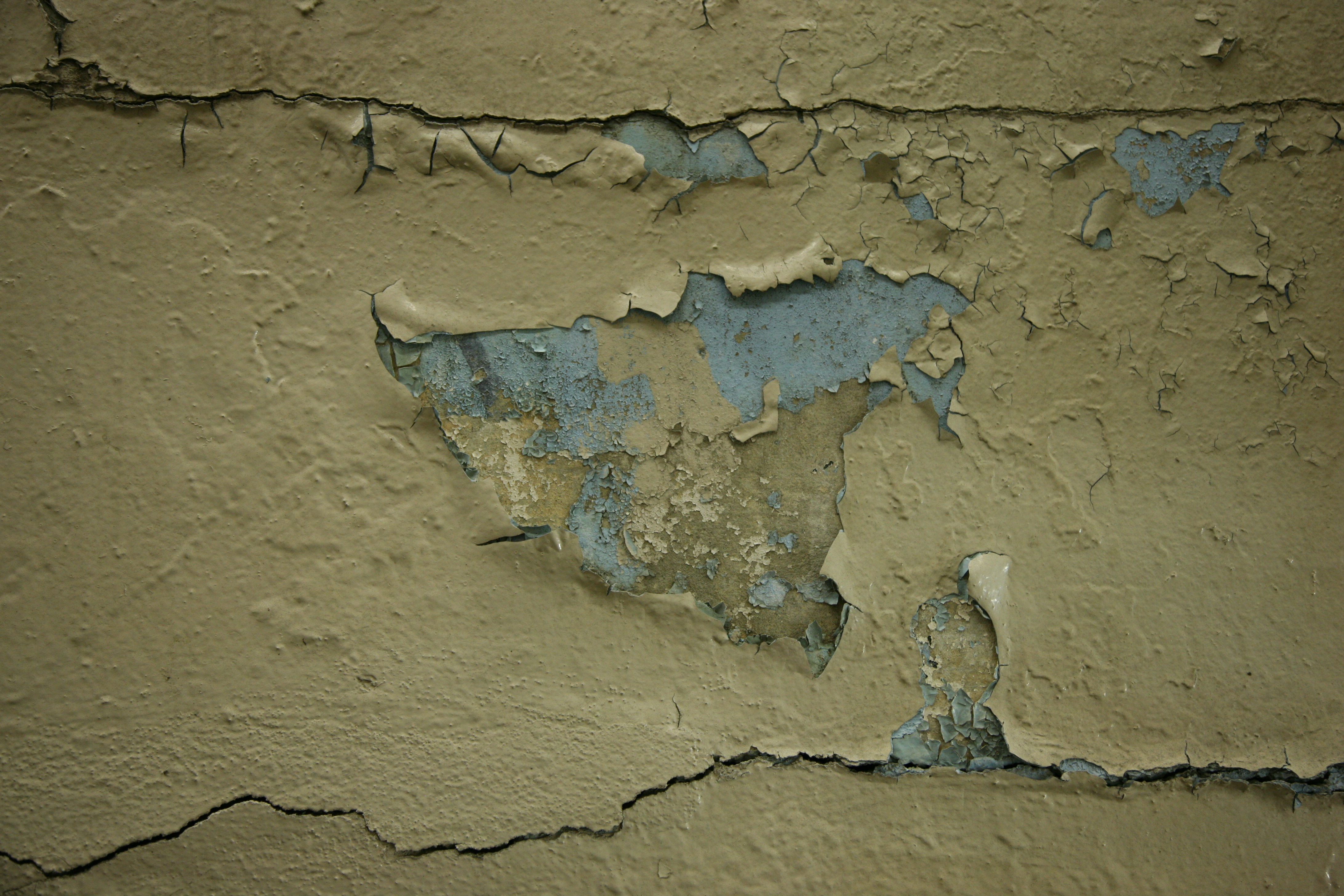 File:Peeling paint 1.jpg - Wikimedia Commons