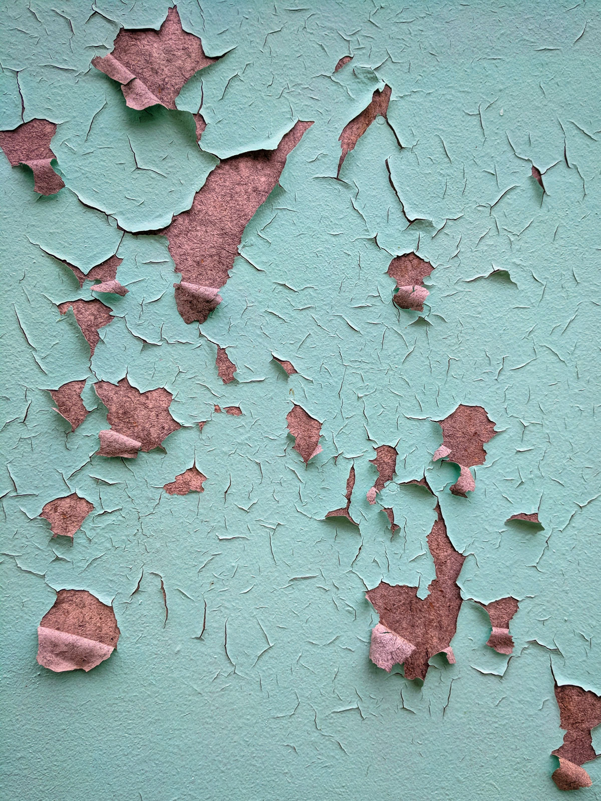 Peeling Paint – Courtney Celley