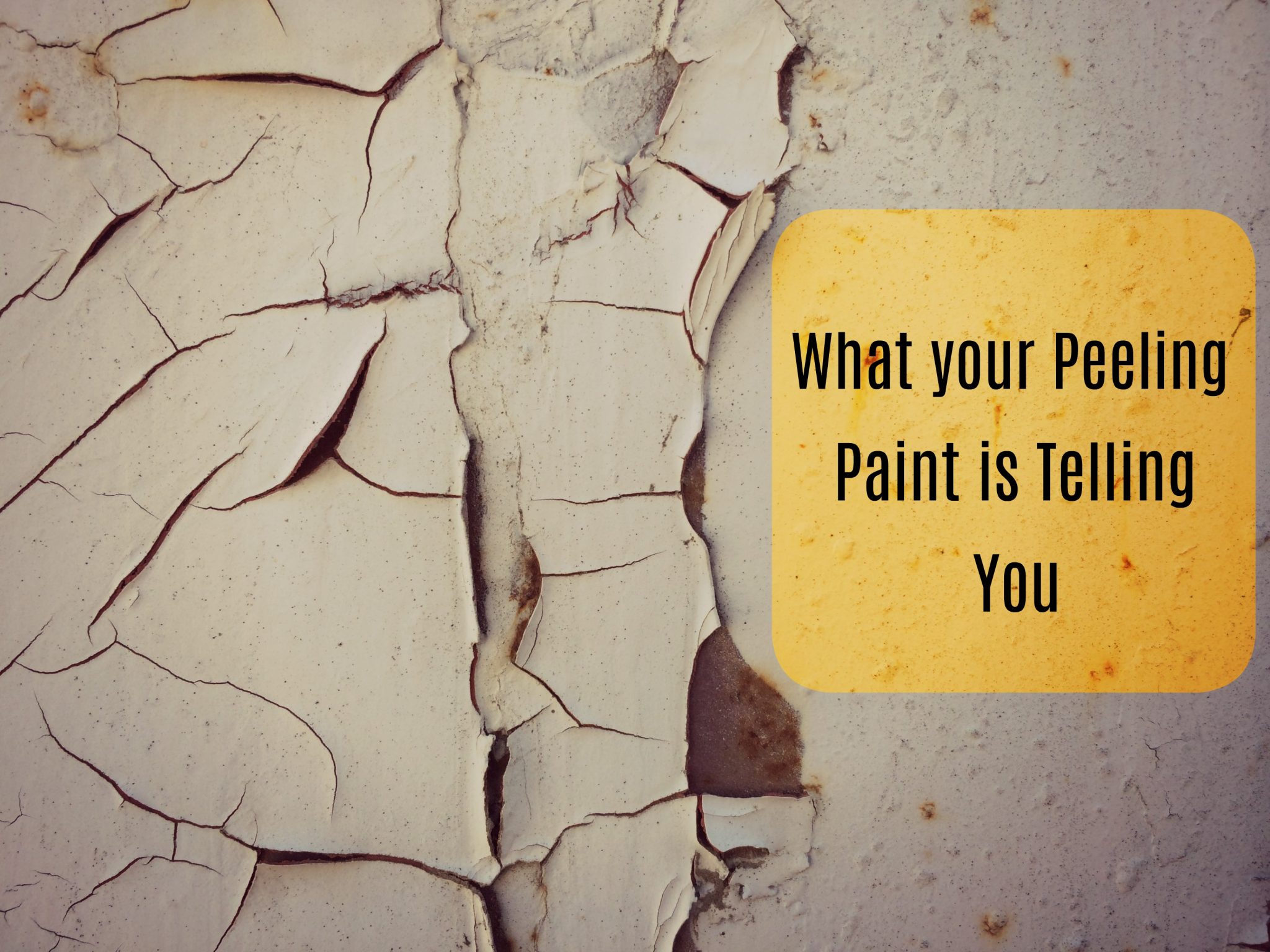 Roof Concern: Peeling Paint - The Roof Wizard
