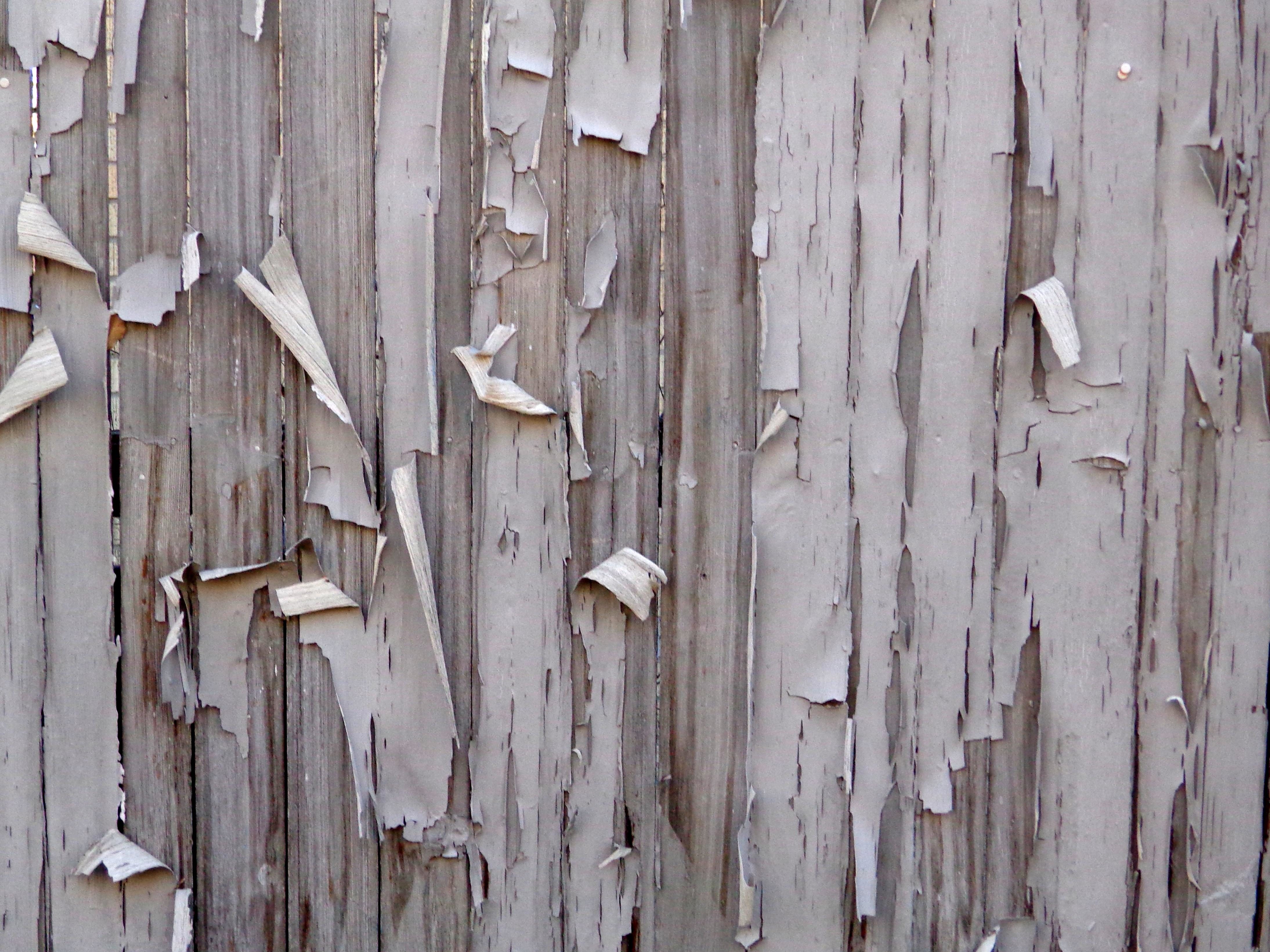 Free picture: peeling, paint, fence, boards, texture