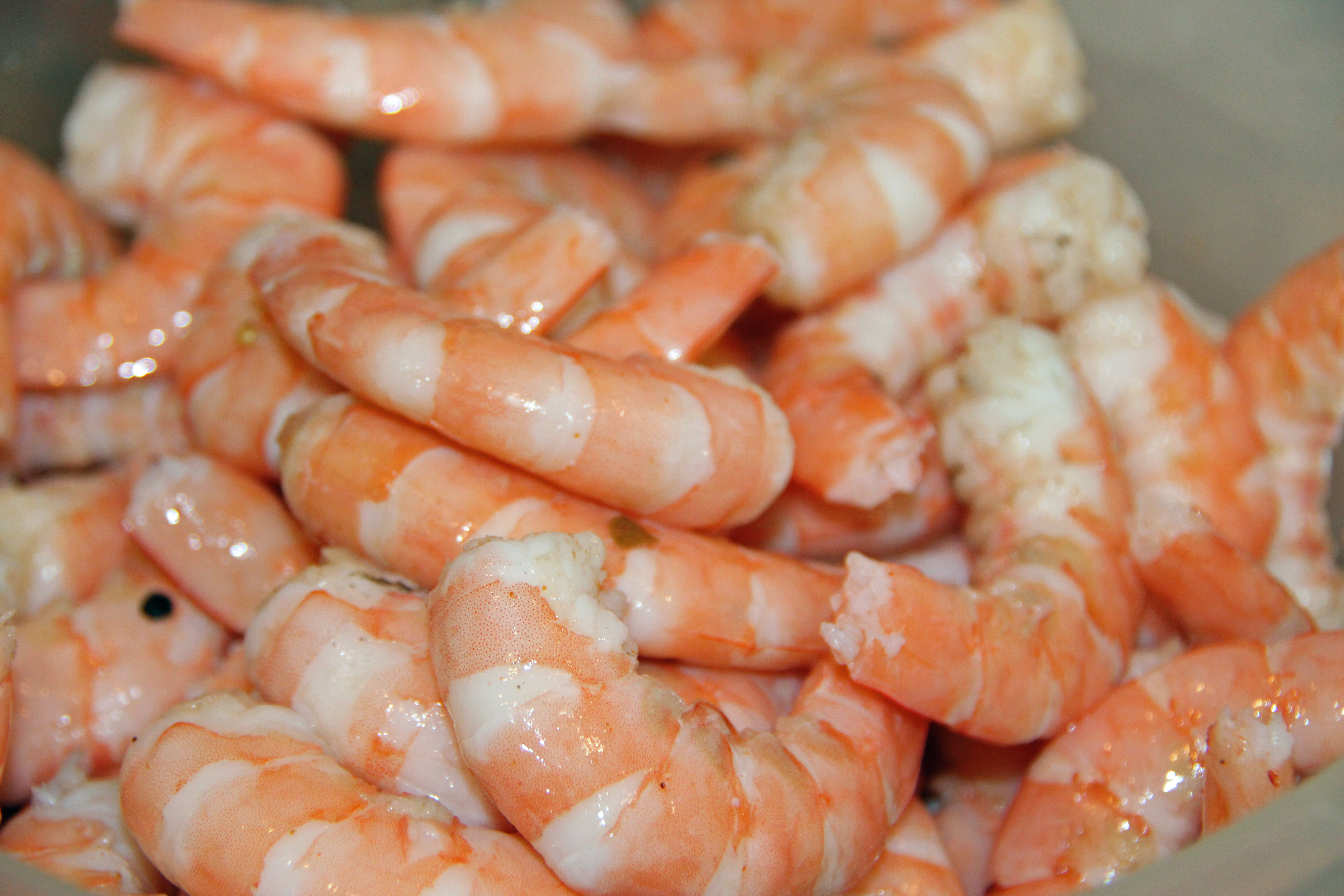 50 Pounds of Shrimp – Pam Snaps ….Photos