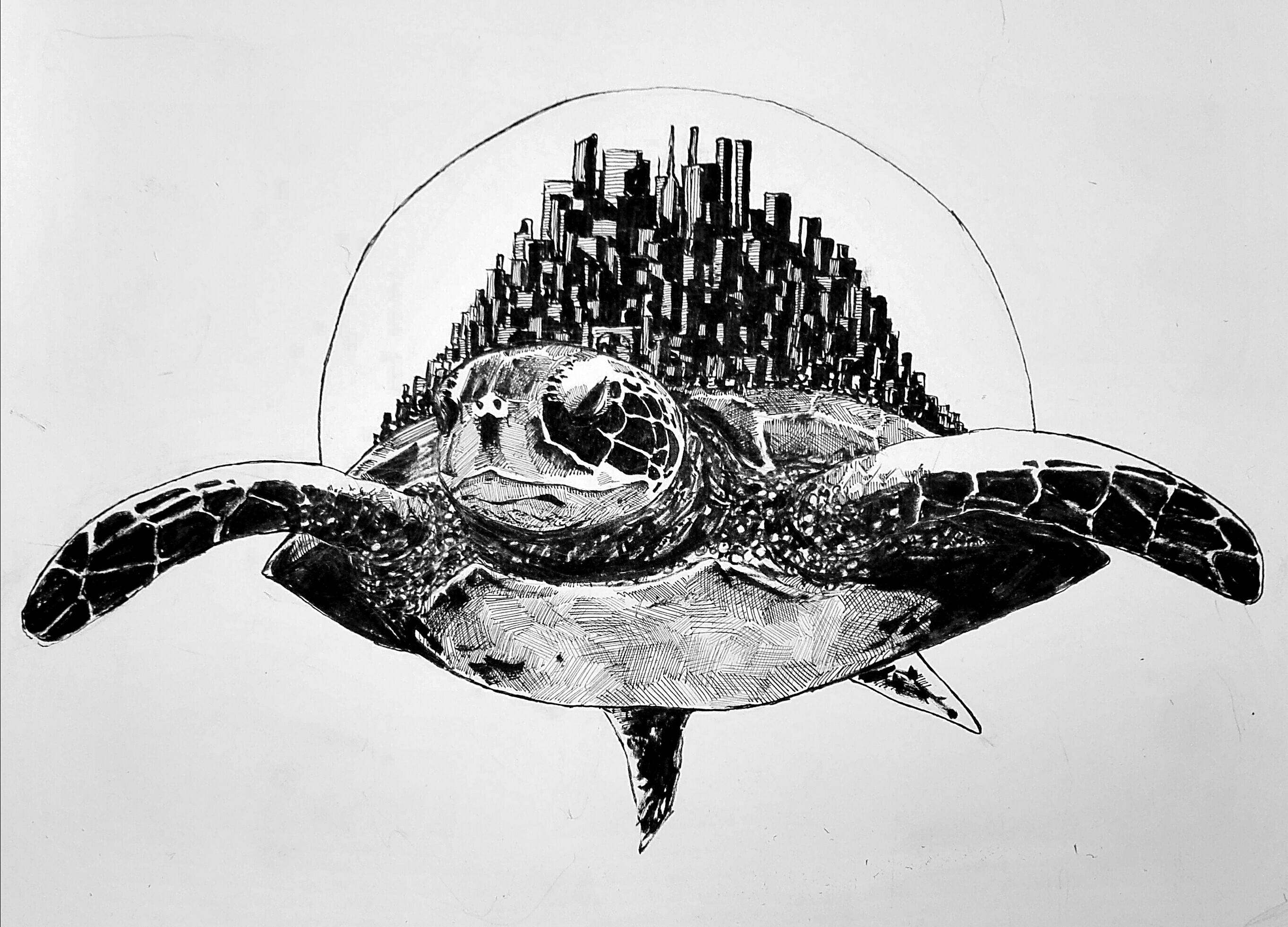 Space turtle, pen and ink, A4 : Art