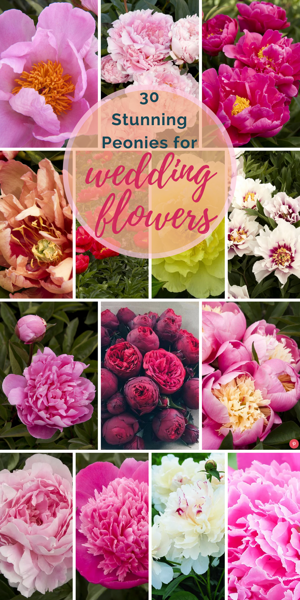 30 Gorgeous Peony Varieties For Amazing Wedding Flower Dècor ...