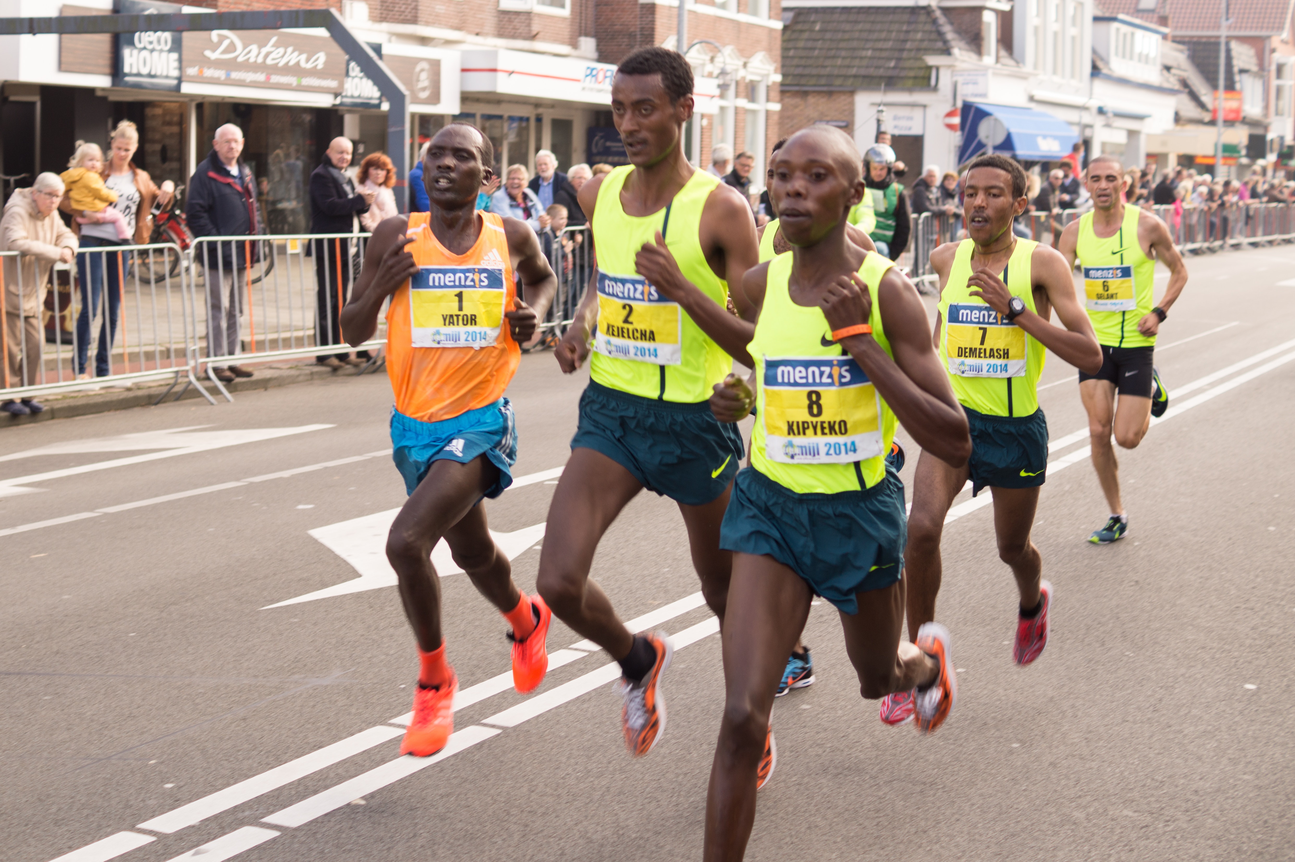 People Doing Marathon · Free Stock Photo