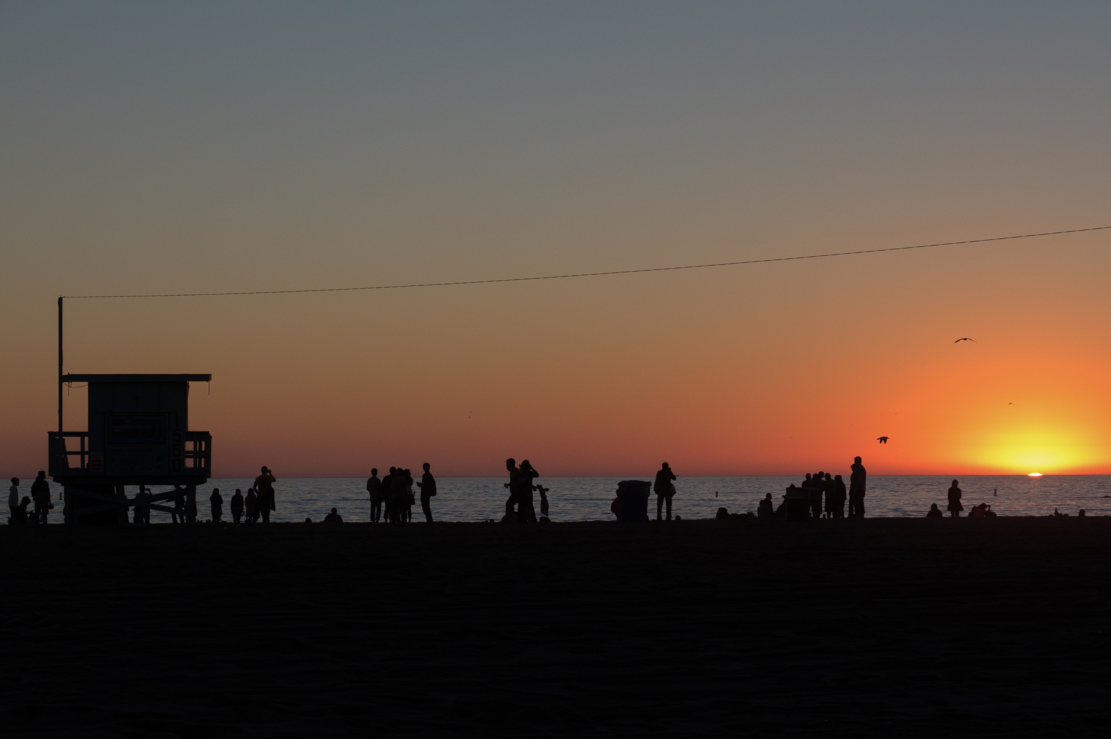 People standing on beach photo