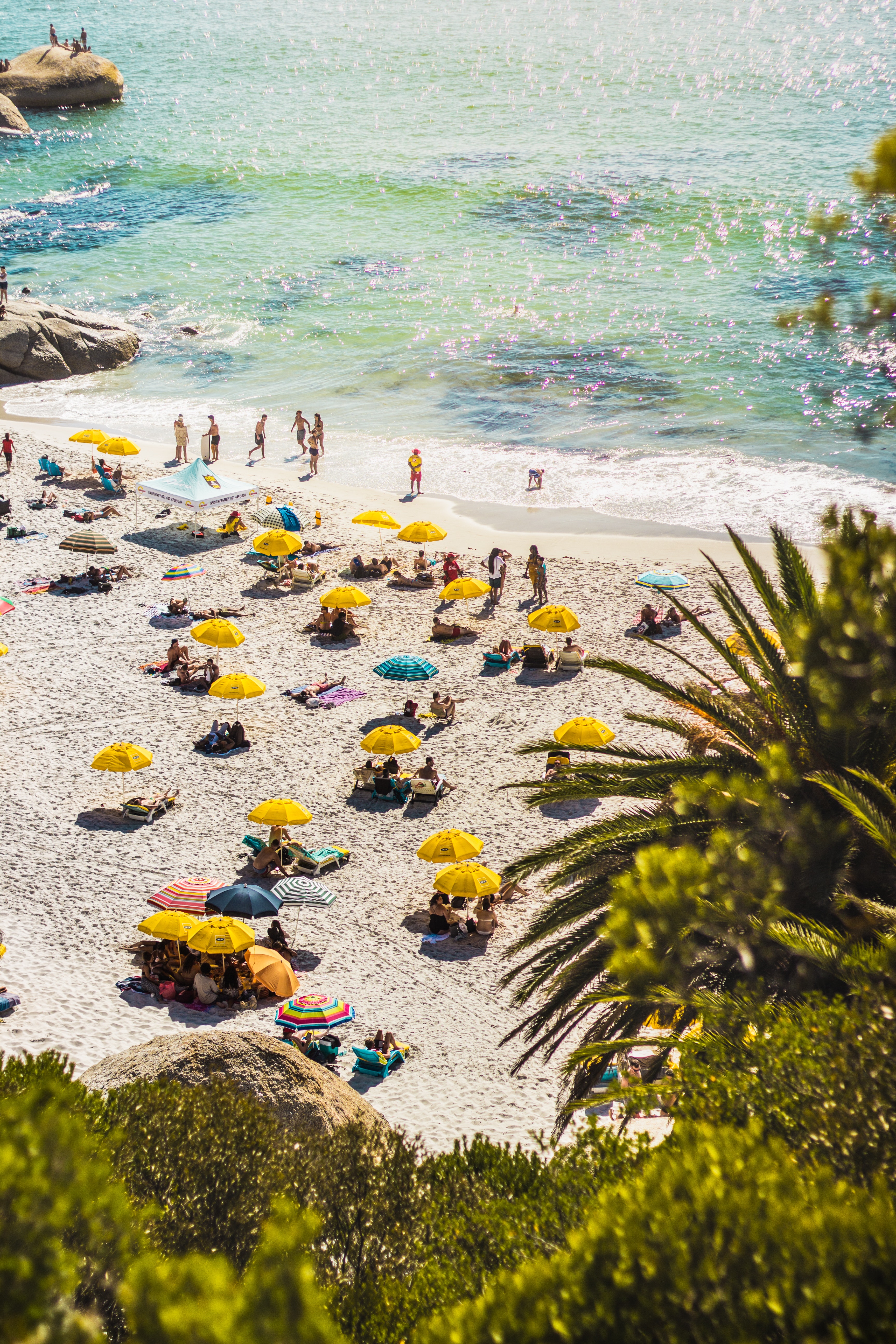 People sunbathing and swimming on seashore photo