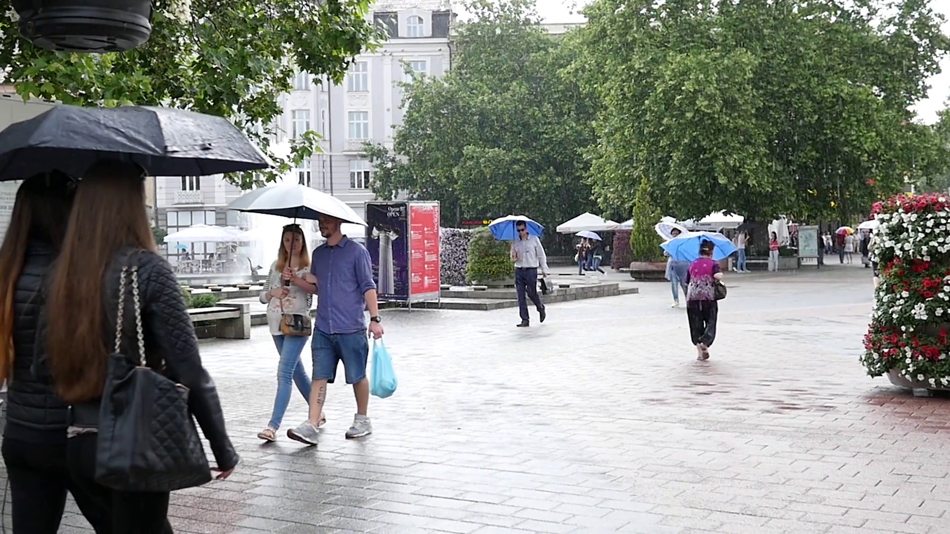 Young people walk under umbrellas in the rain walking down the ...