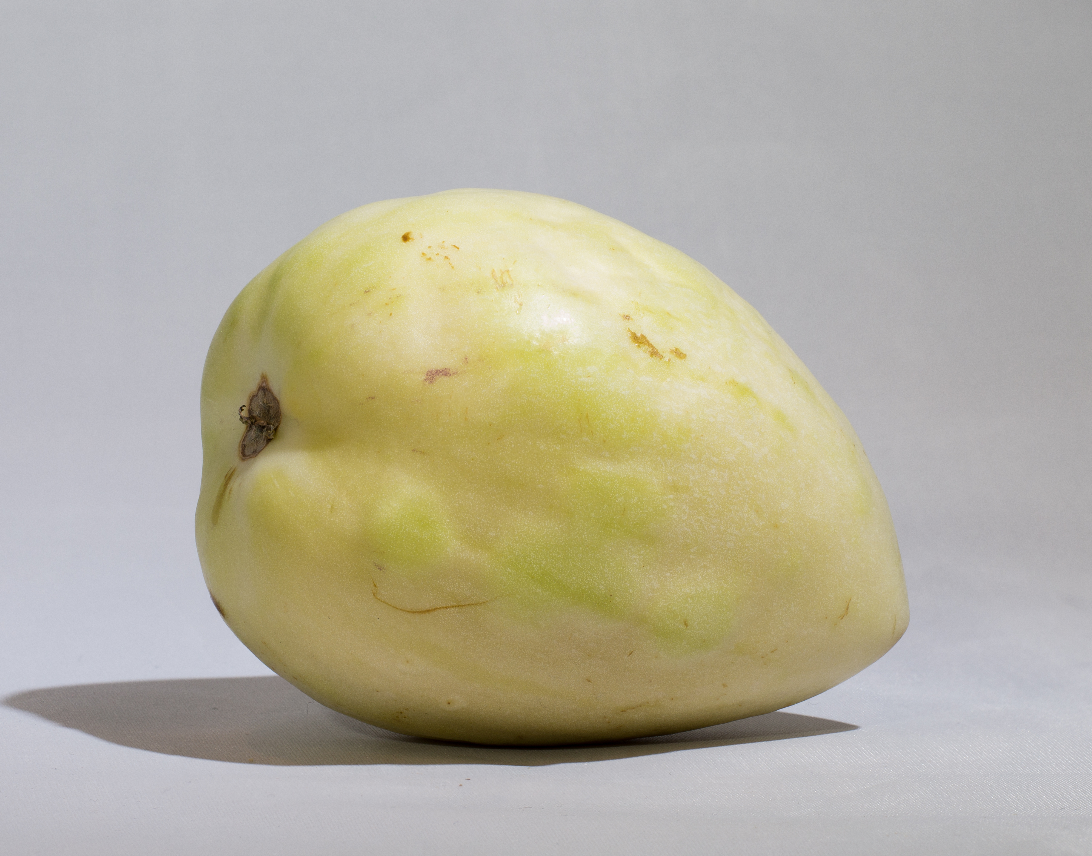 File:Pepino melon.jpg - Wikimedia Commons