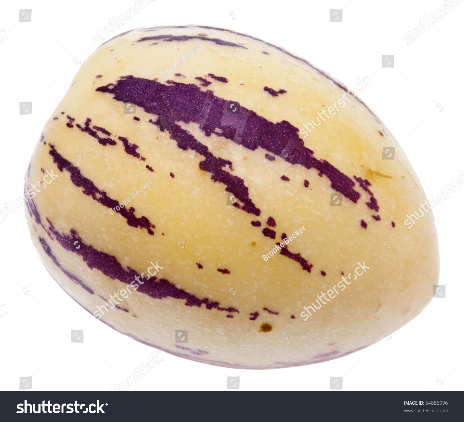Pepino Melon Isolated On White Clipping Stock Photo (100% Legal ...