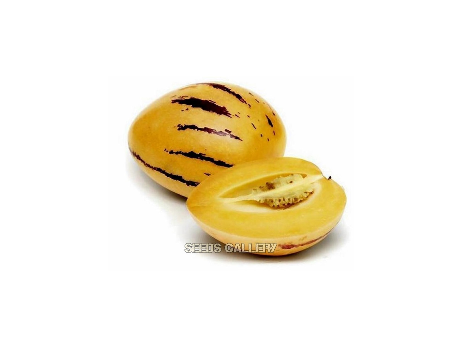 Pepino Dulce, Melon Pear Seeds (Solanum muricatum)