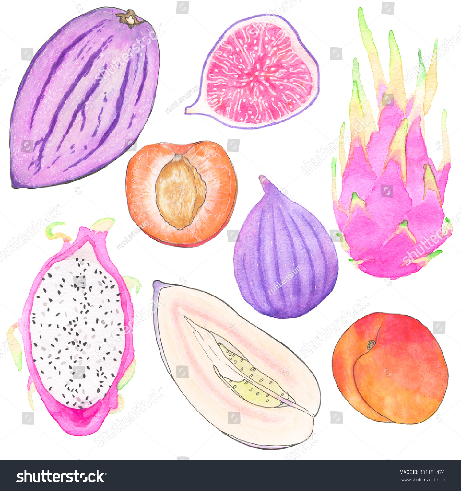 Pepino Melon Dragonfruit Apricot Fig Handdrawn Stock Illustration ...