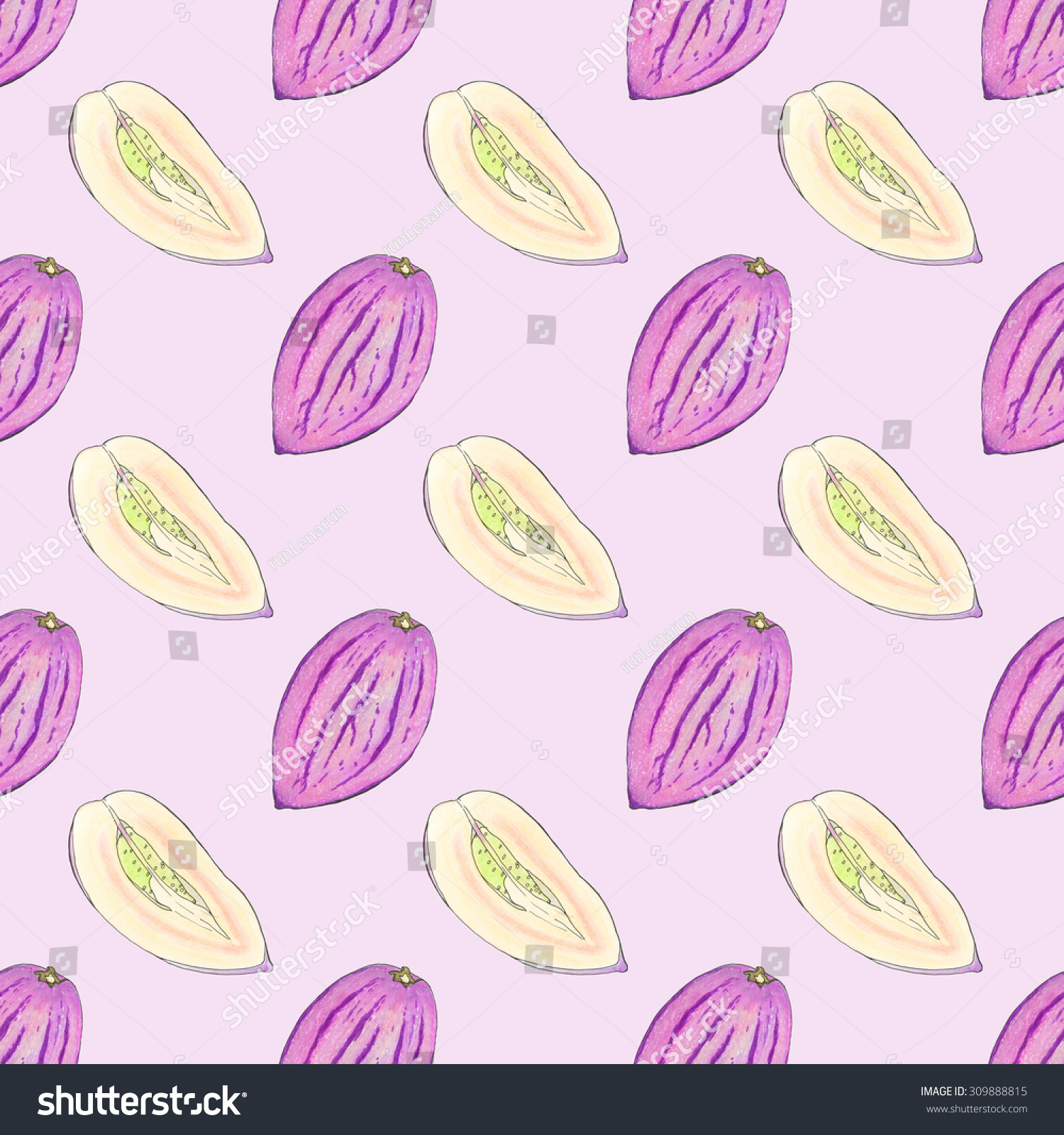 Pepino Melon Seamless Pattern Fruits Handdrawn Stock Illustration ...