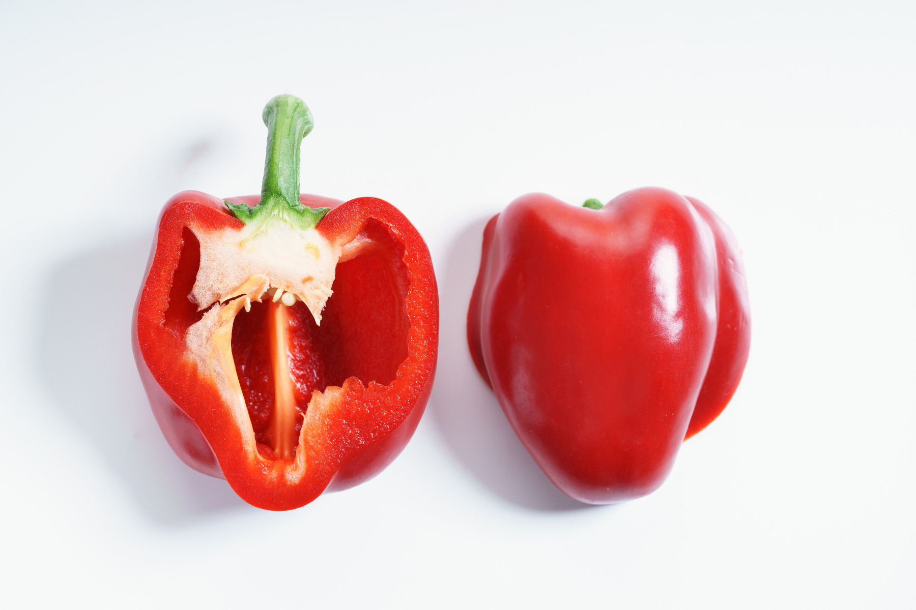 Xanthomonas spp. - Tomato or Pepper