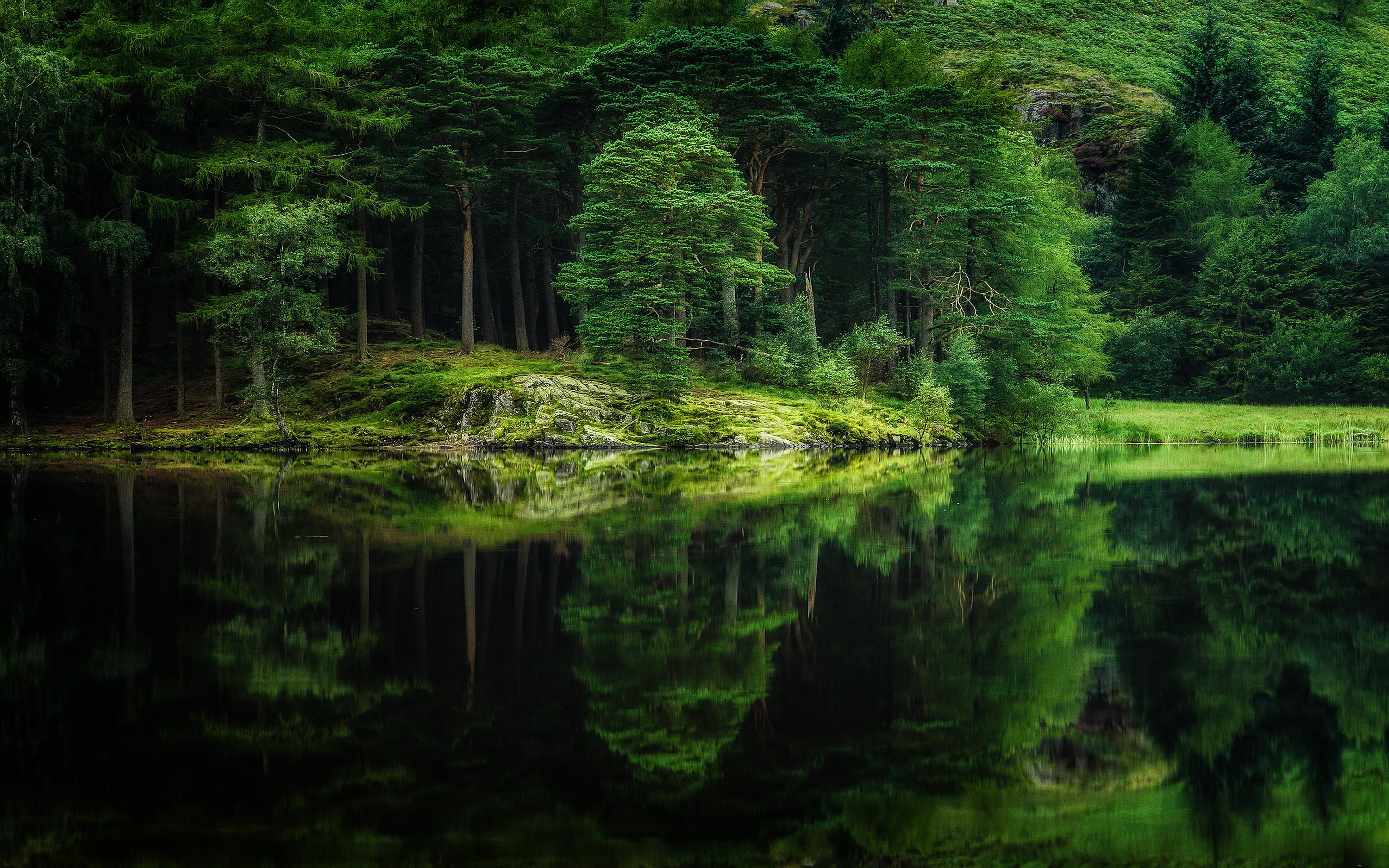 The perfect landscape / 3000 x 1875 / Forest, Landscape ...