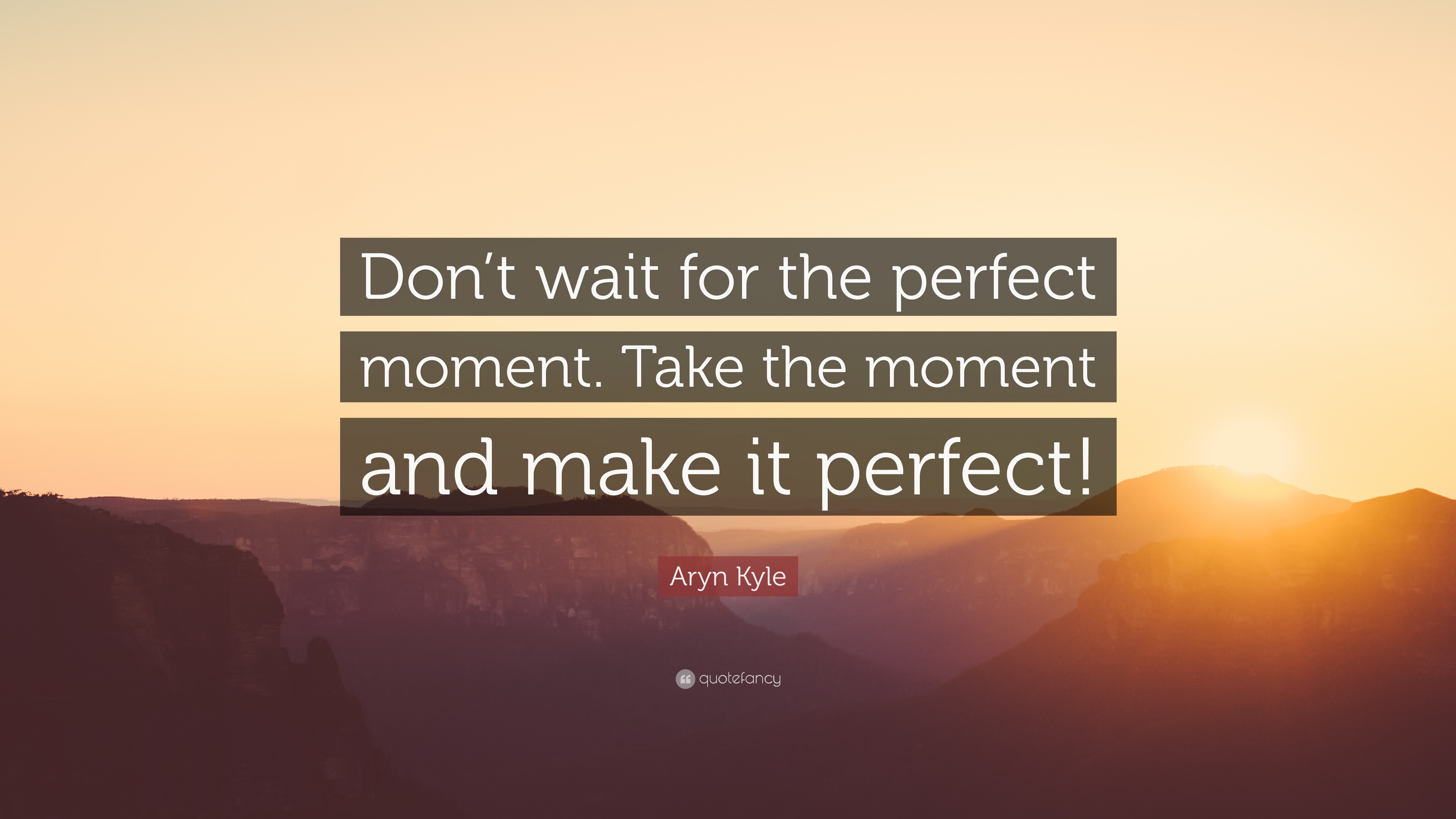Aryn Kyle Quote: “Don't wait for the perfect moment. Take the moment ...