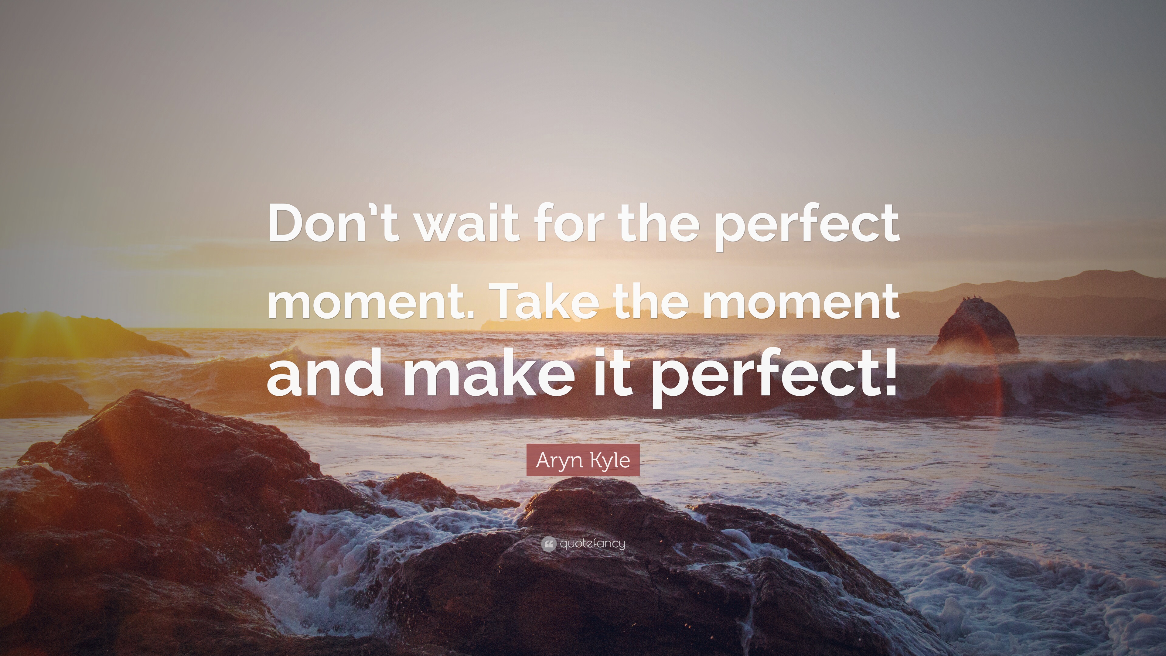 Aryn Kyle Quote: “Don't wait for the perfect moment. Take the moment ...