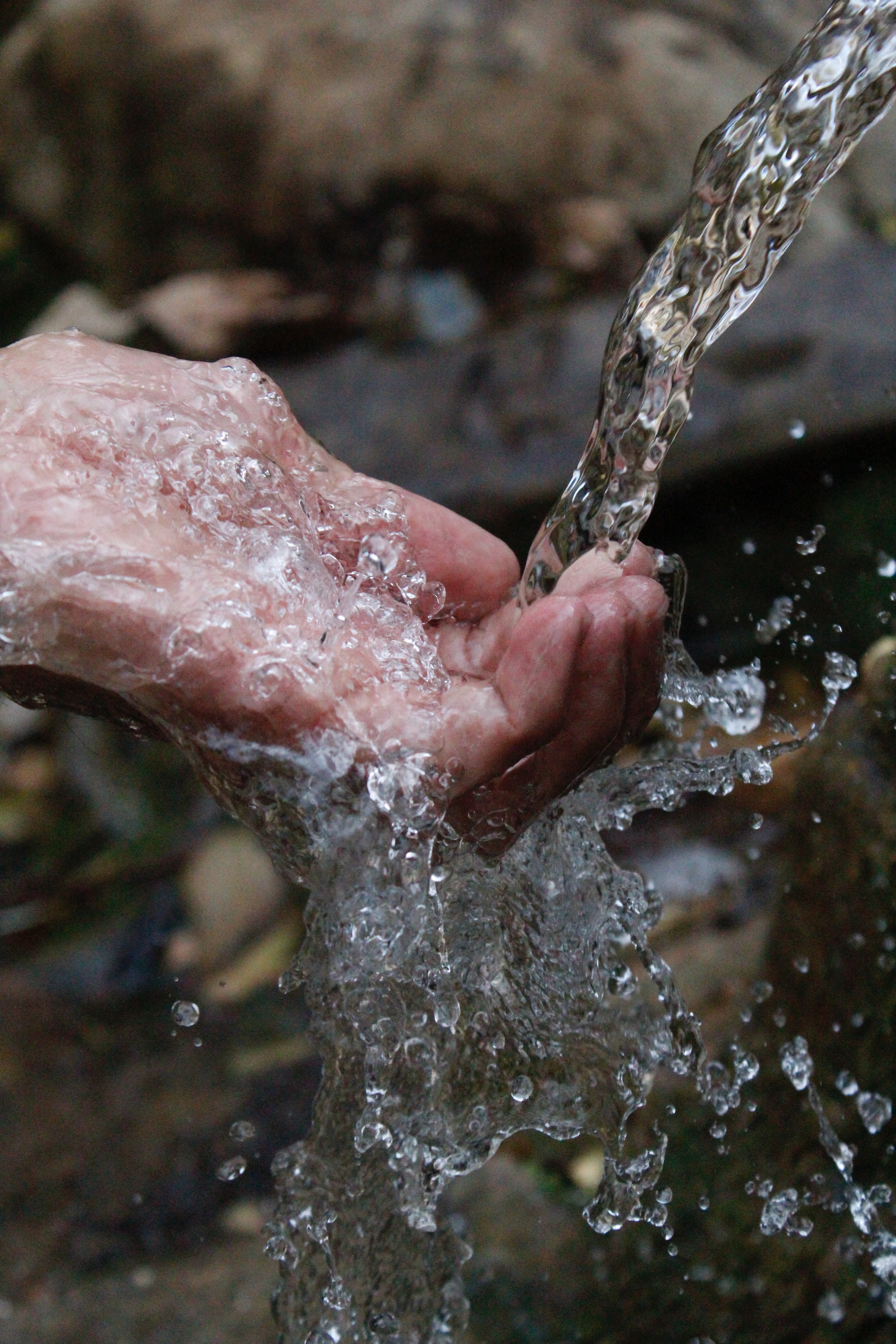 Person Cleaning Hands under Water, Body, Pure, Washing, Splashing, HQ Photo