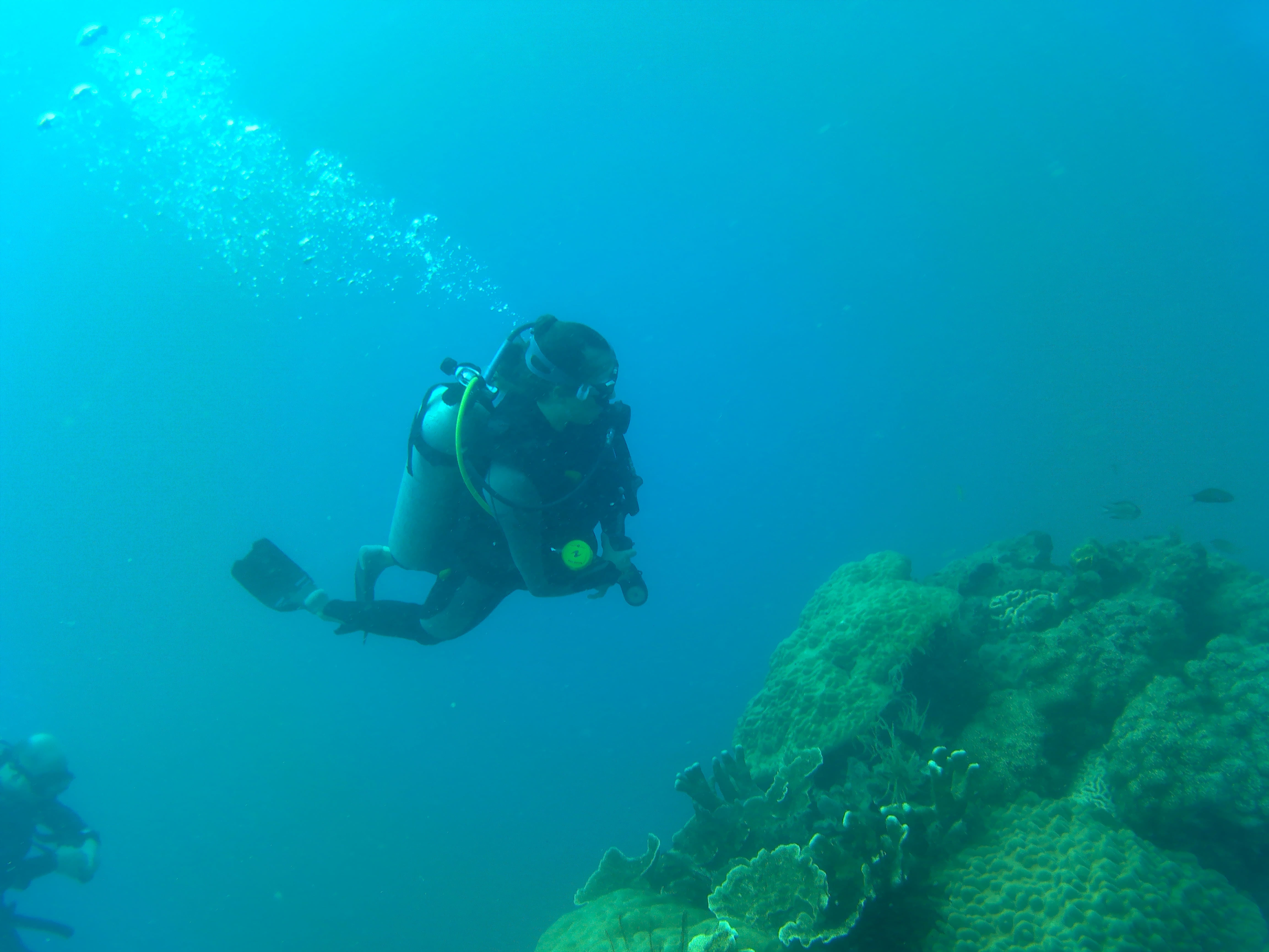 Private day tour diving Karimunjawa - 2 dives - 1 person