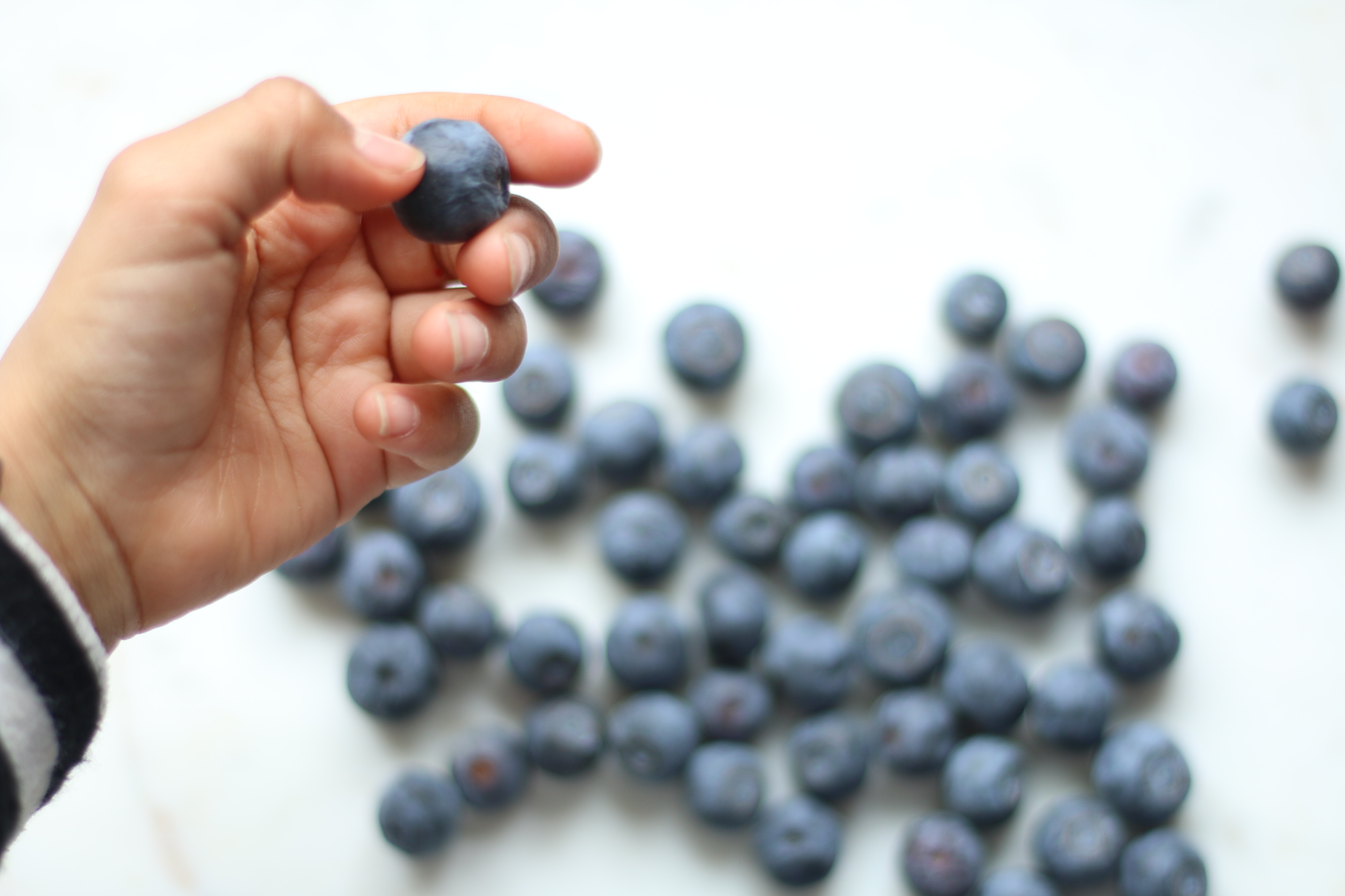 Person holding blueberry photo