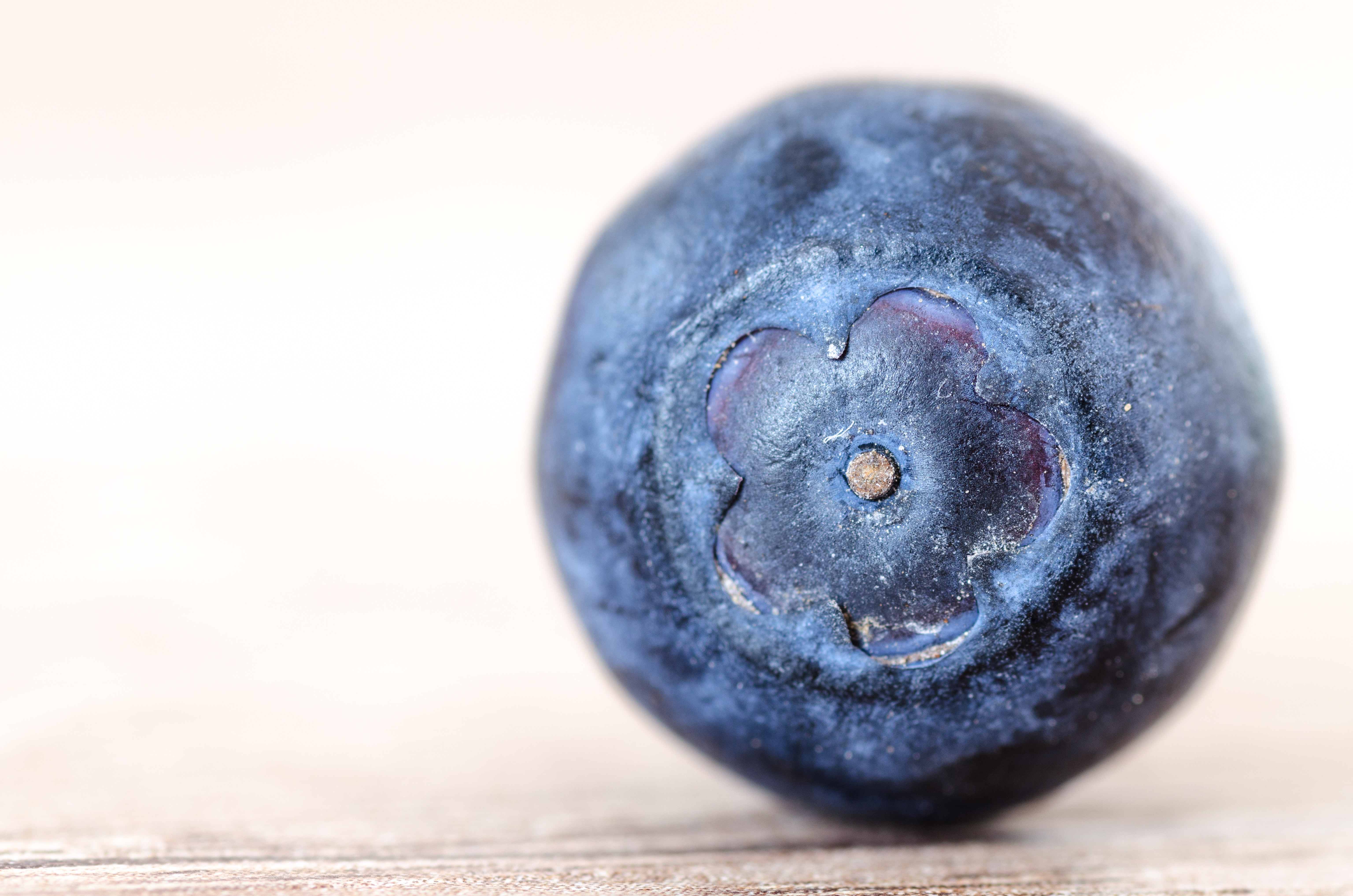 Free stock photo of berry, blueberry, blur