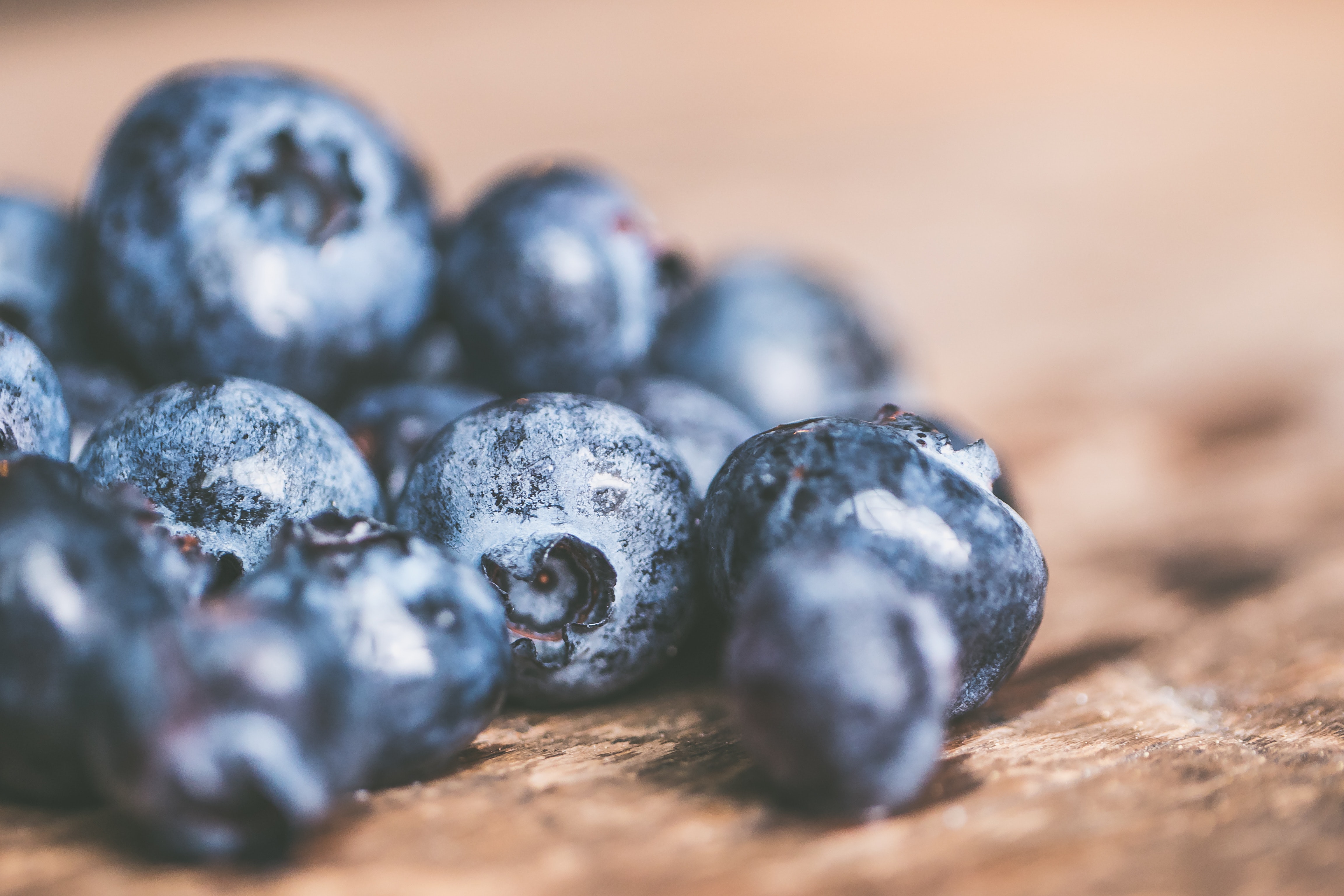 100+ Amazing Blueberry Photos · Pexels · Free Stock Photos