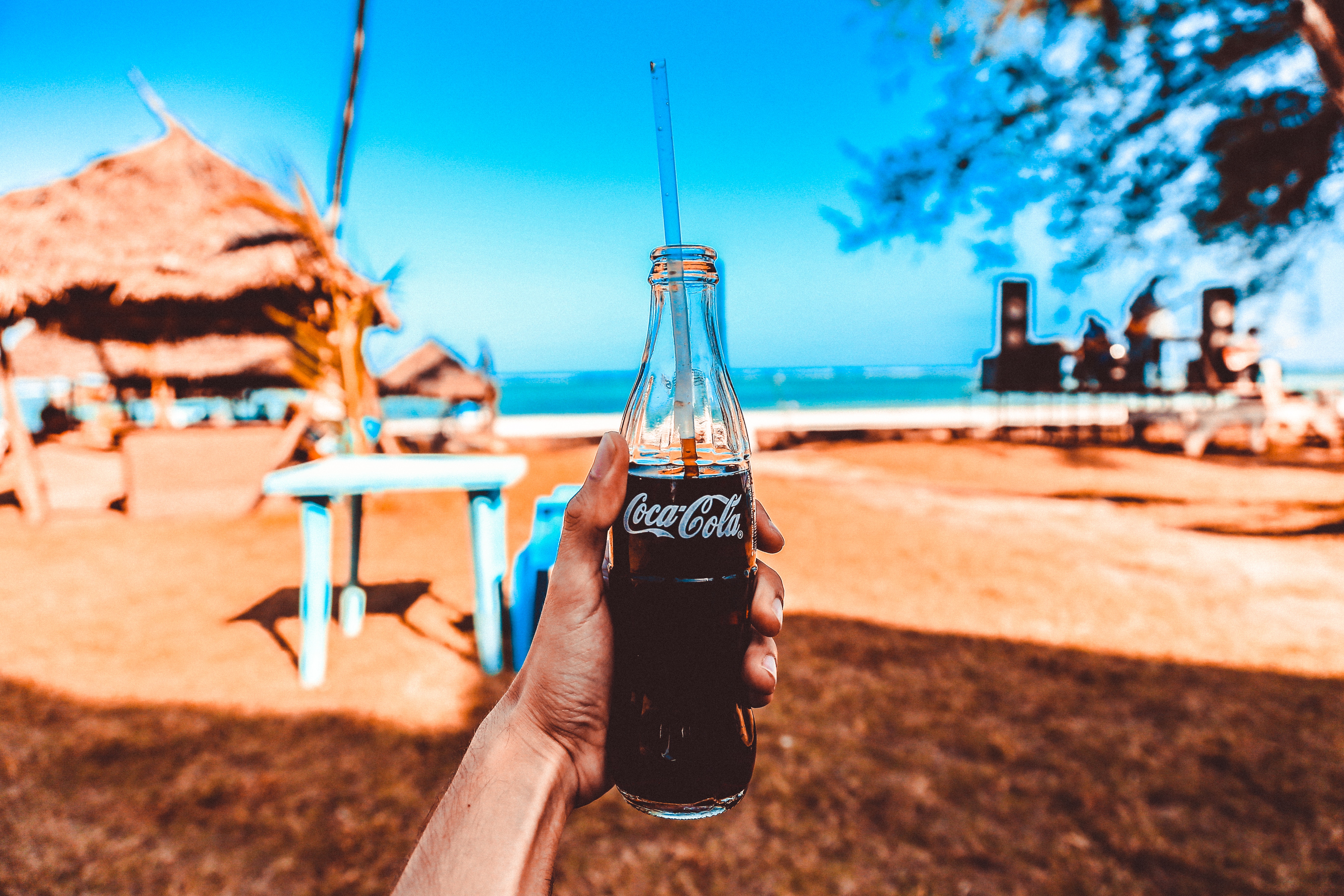 Person Holding Coca-cola Glass Bottle, Beach, Person, Tropical, Trees, HQ Photo
