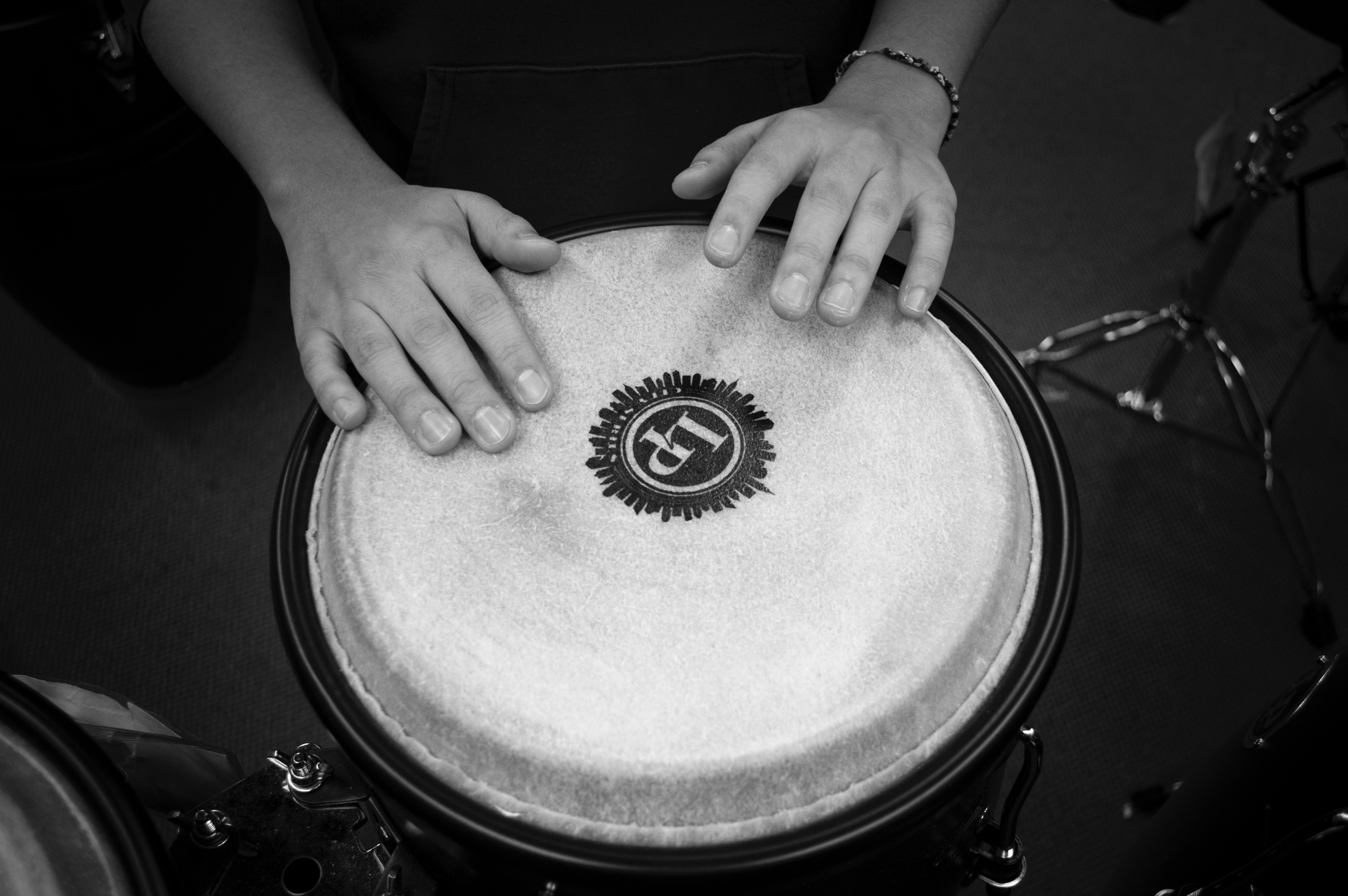 Person holding drums photo