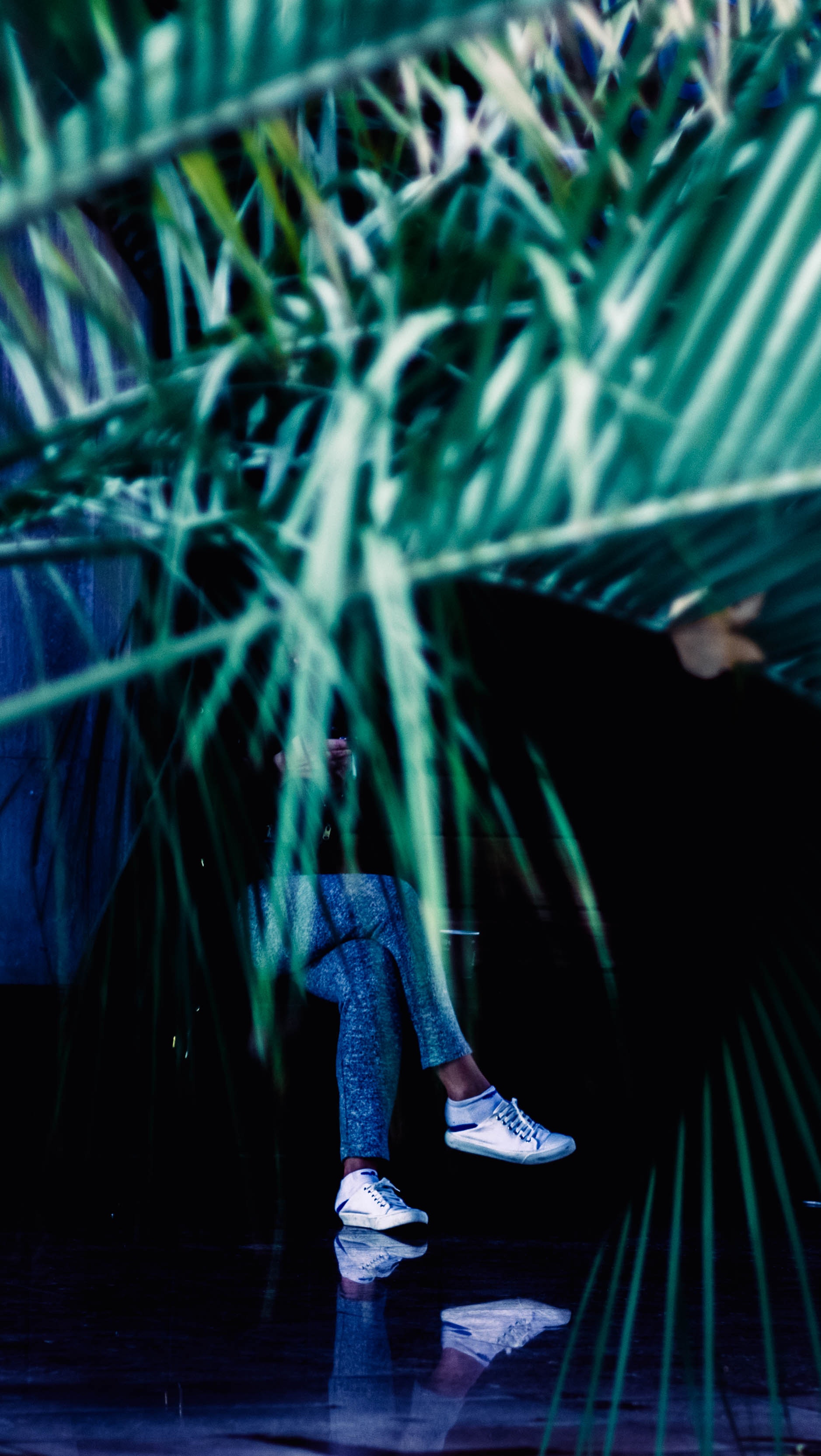 Person in black shirt and blue denim pants behind plant photo