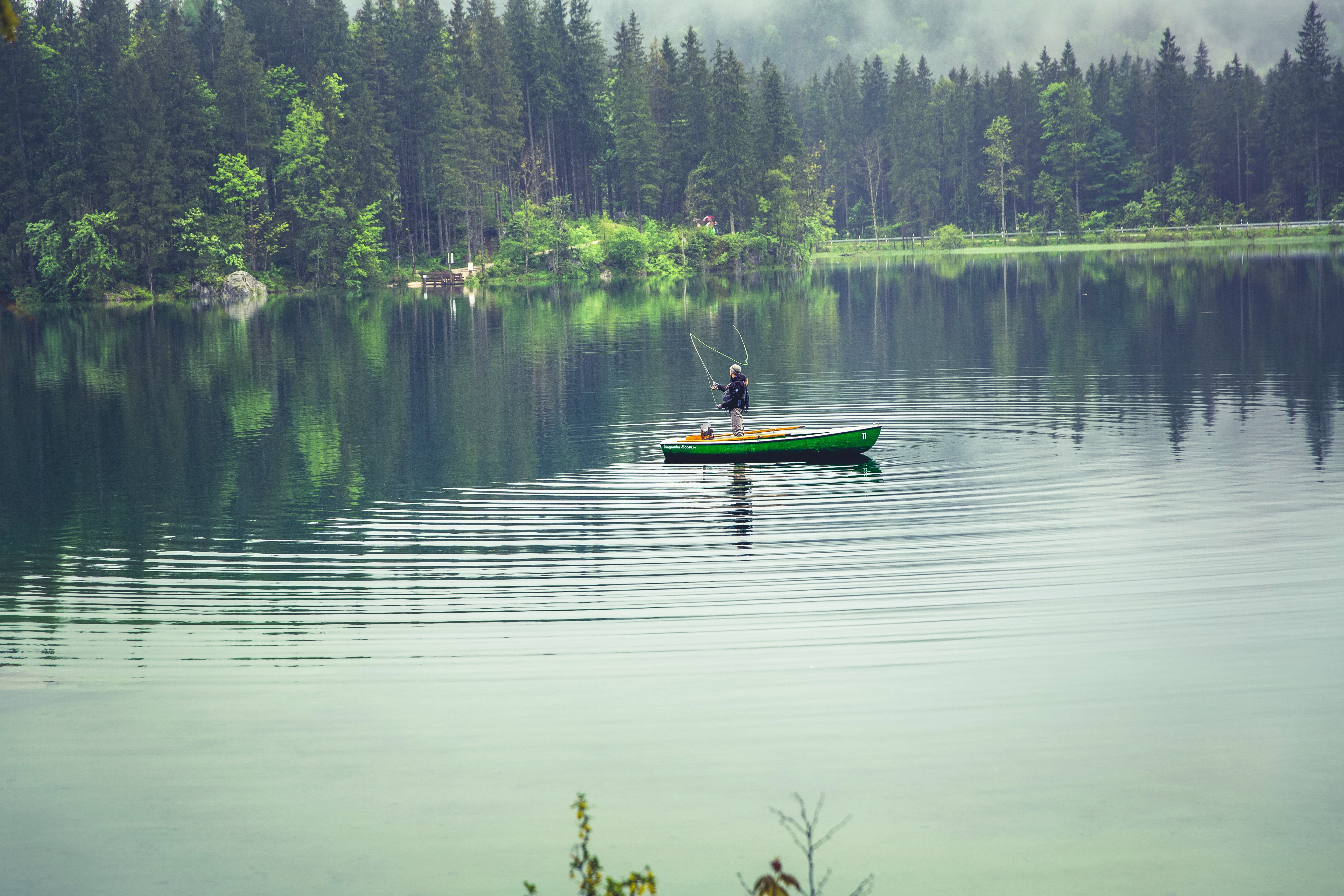 Person on Green Boat Fishing on Body of Water, Boat, Fisherman, Fishing, Forest, HQ Photo