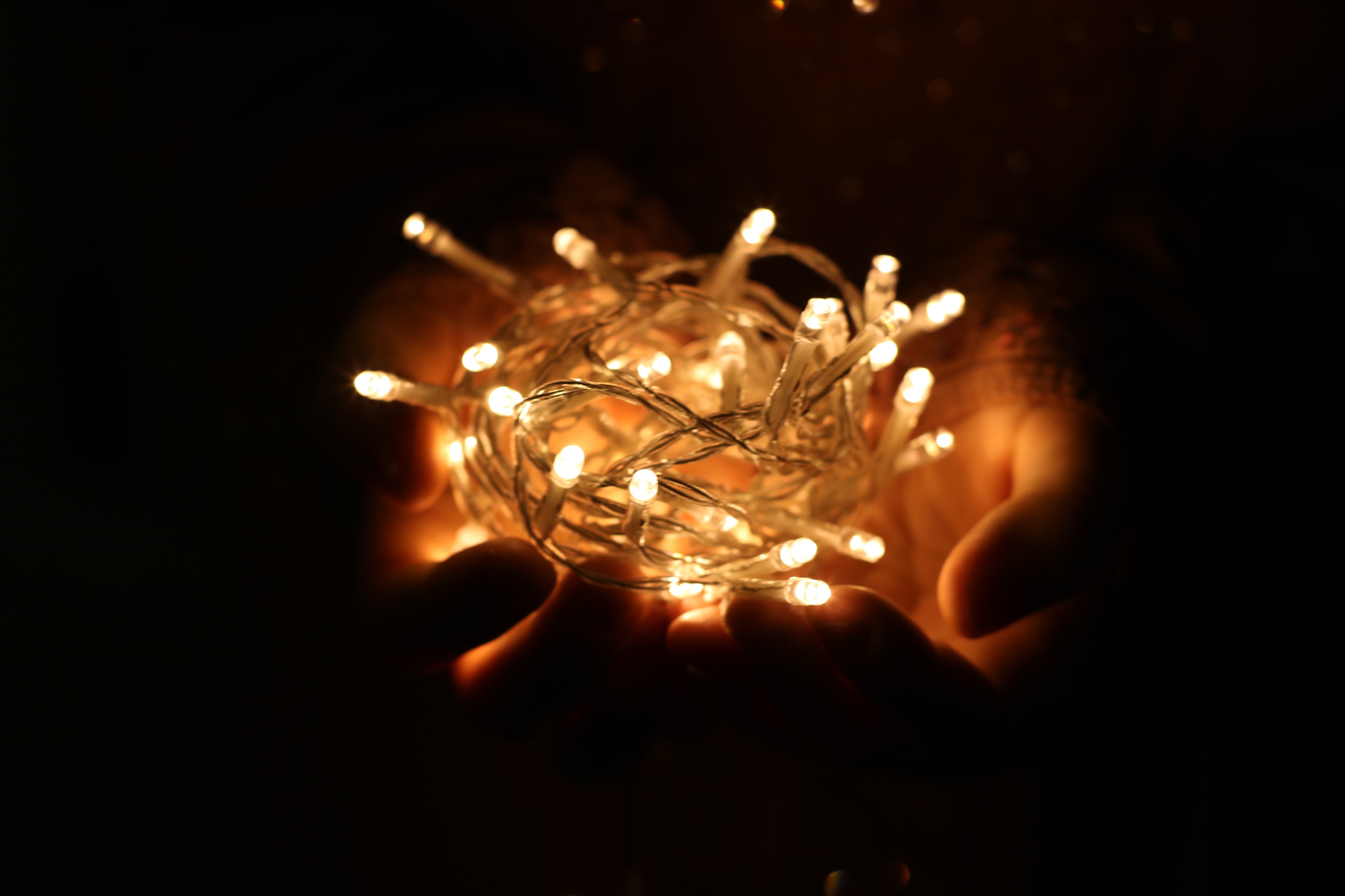Person showing white string lights during nightime photo
