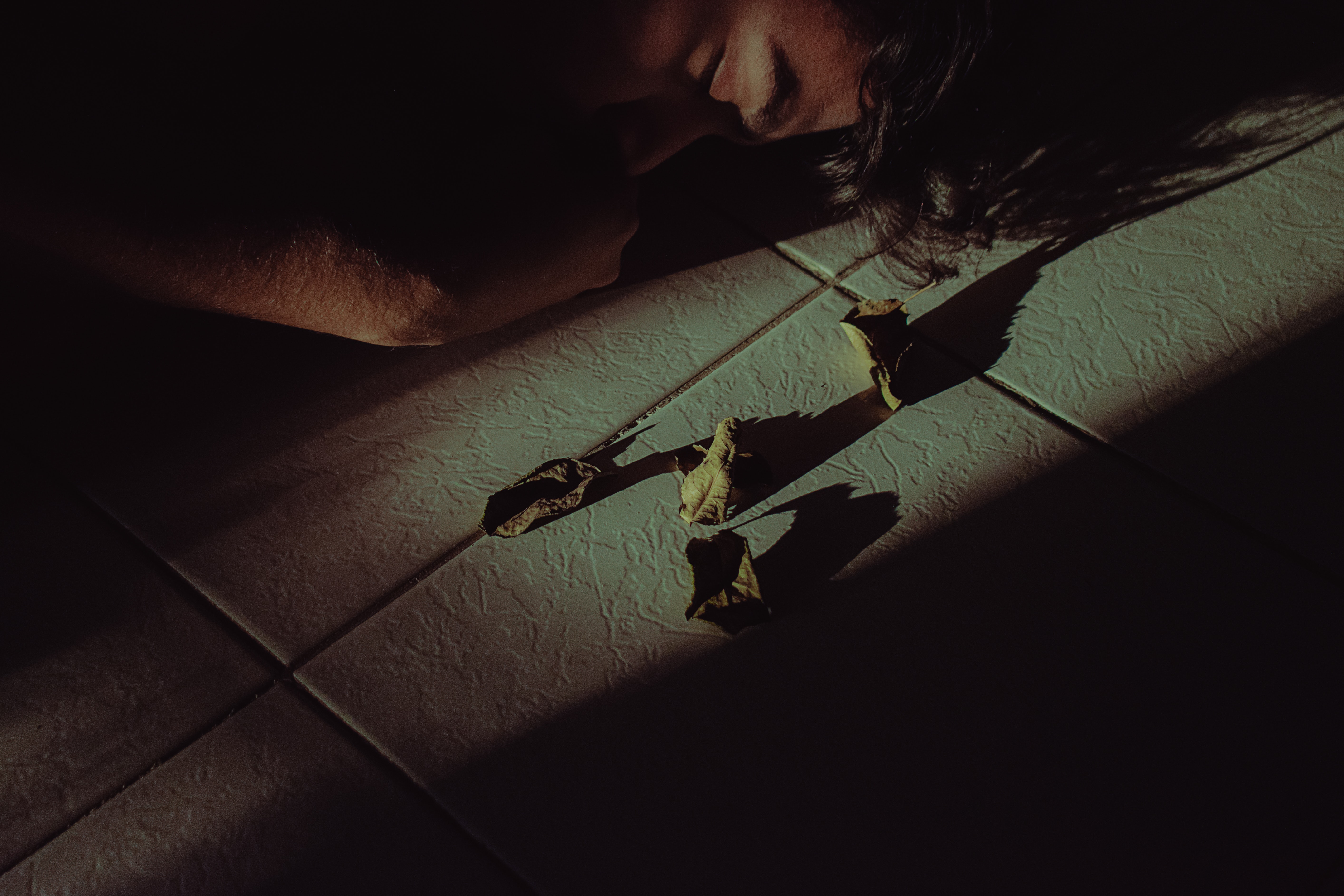 Person sleeping beside dead leaves photo