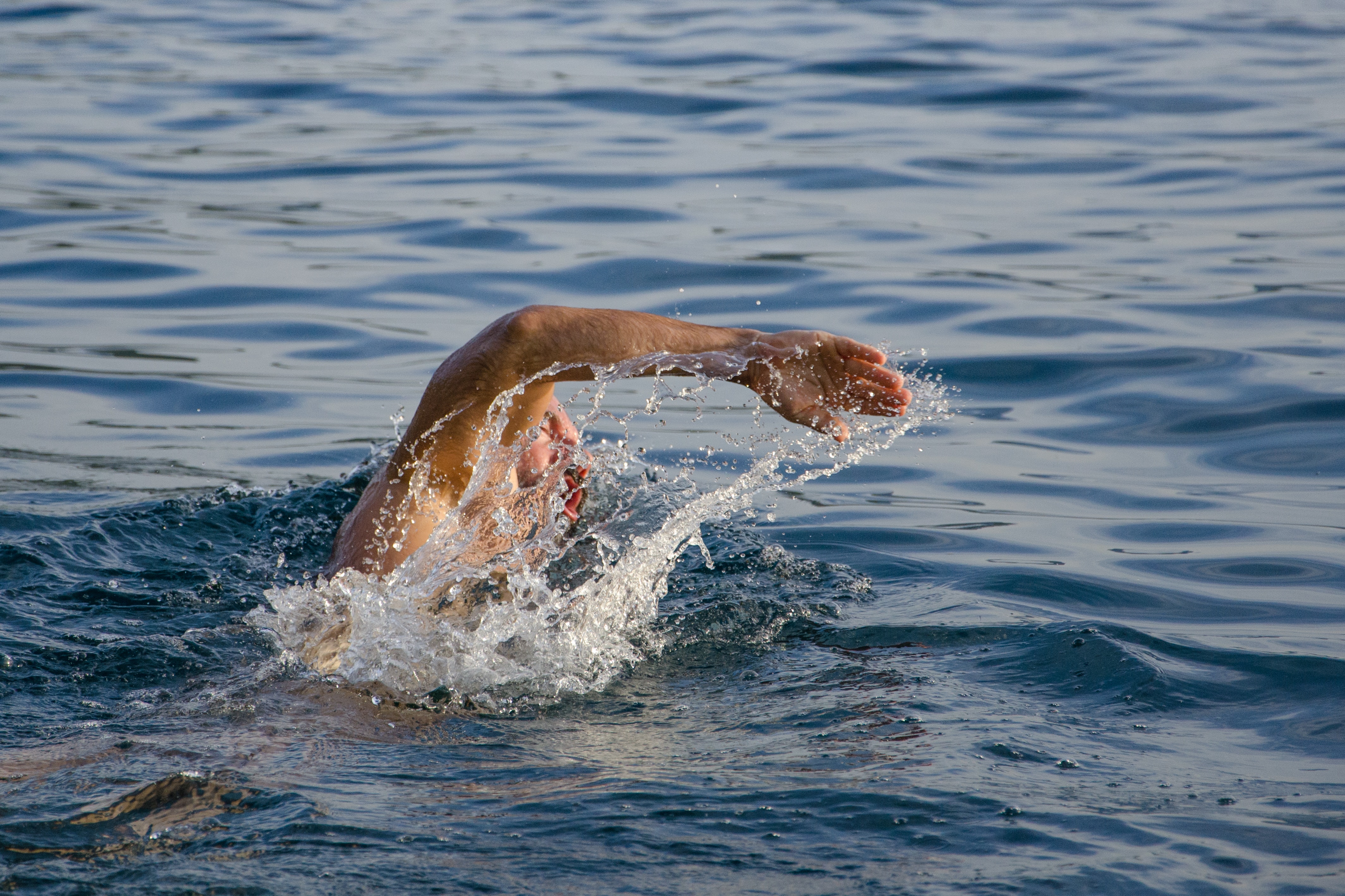 Person Swimming on Body of Water Doing Freestyle Strokes, Athletic, Freestyle, Man, Person, HQ Photo