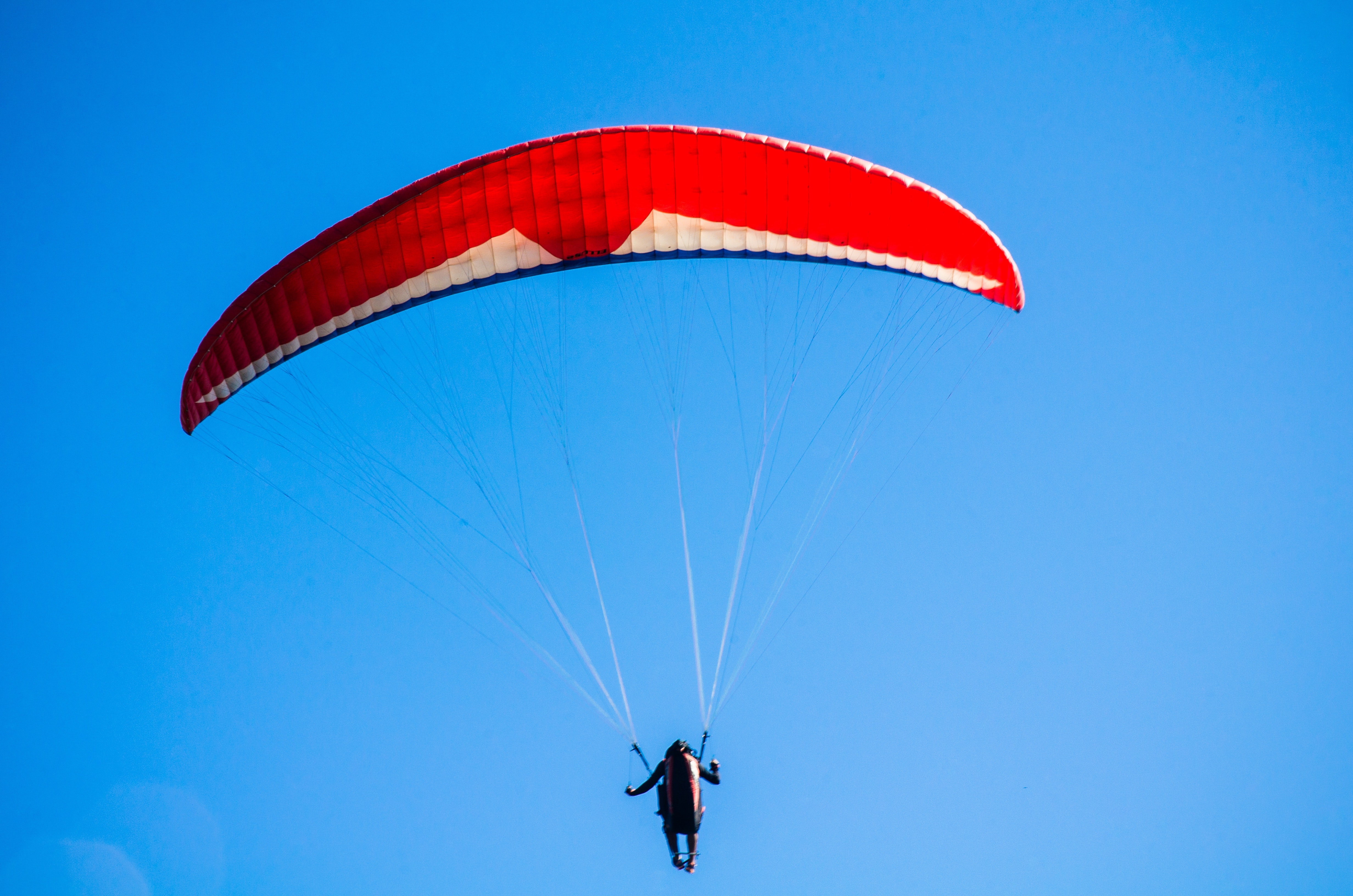 Person using red parachute on mid air photo