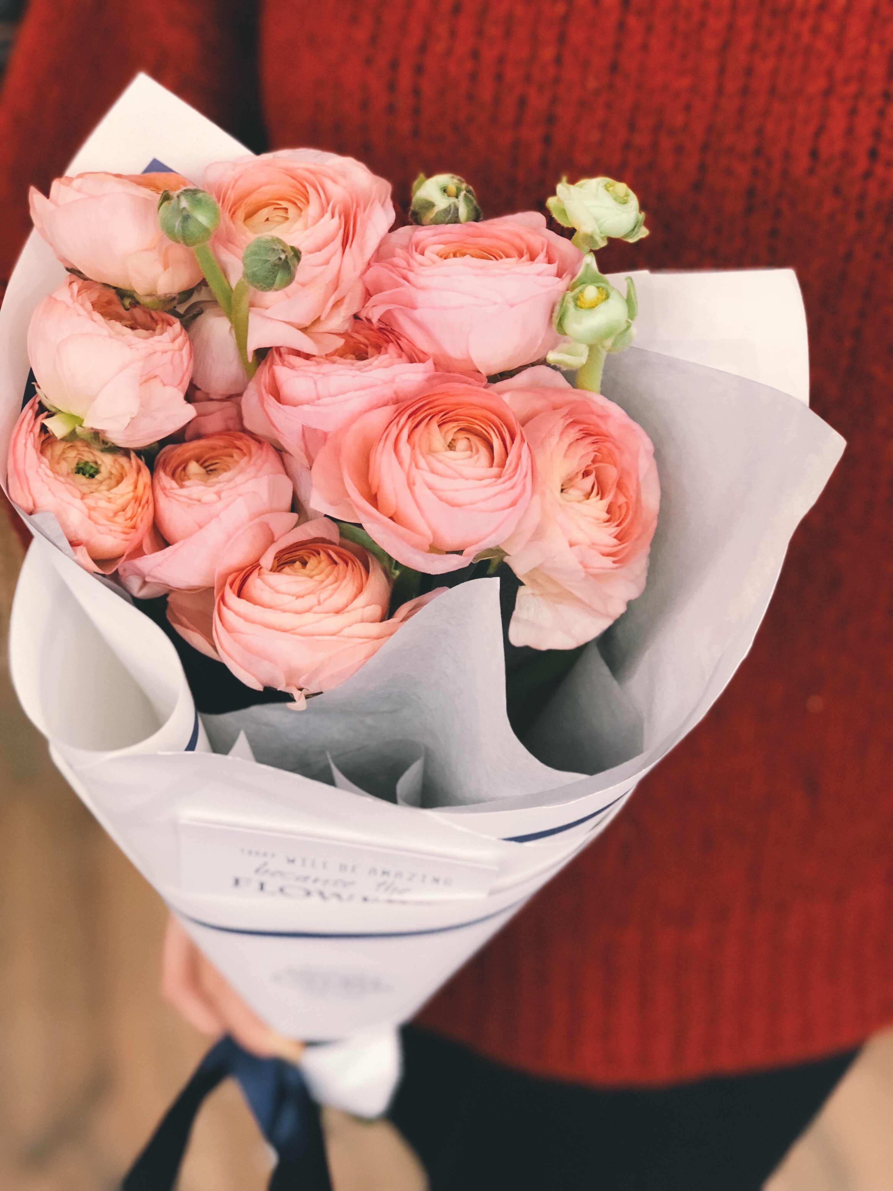 Person wearing red sweater and black pants holding bouquet of pink flowers photo