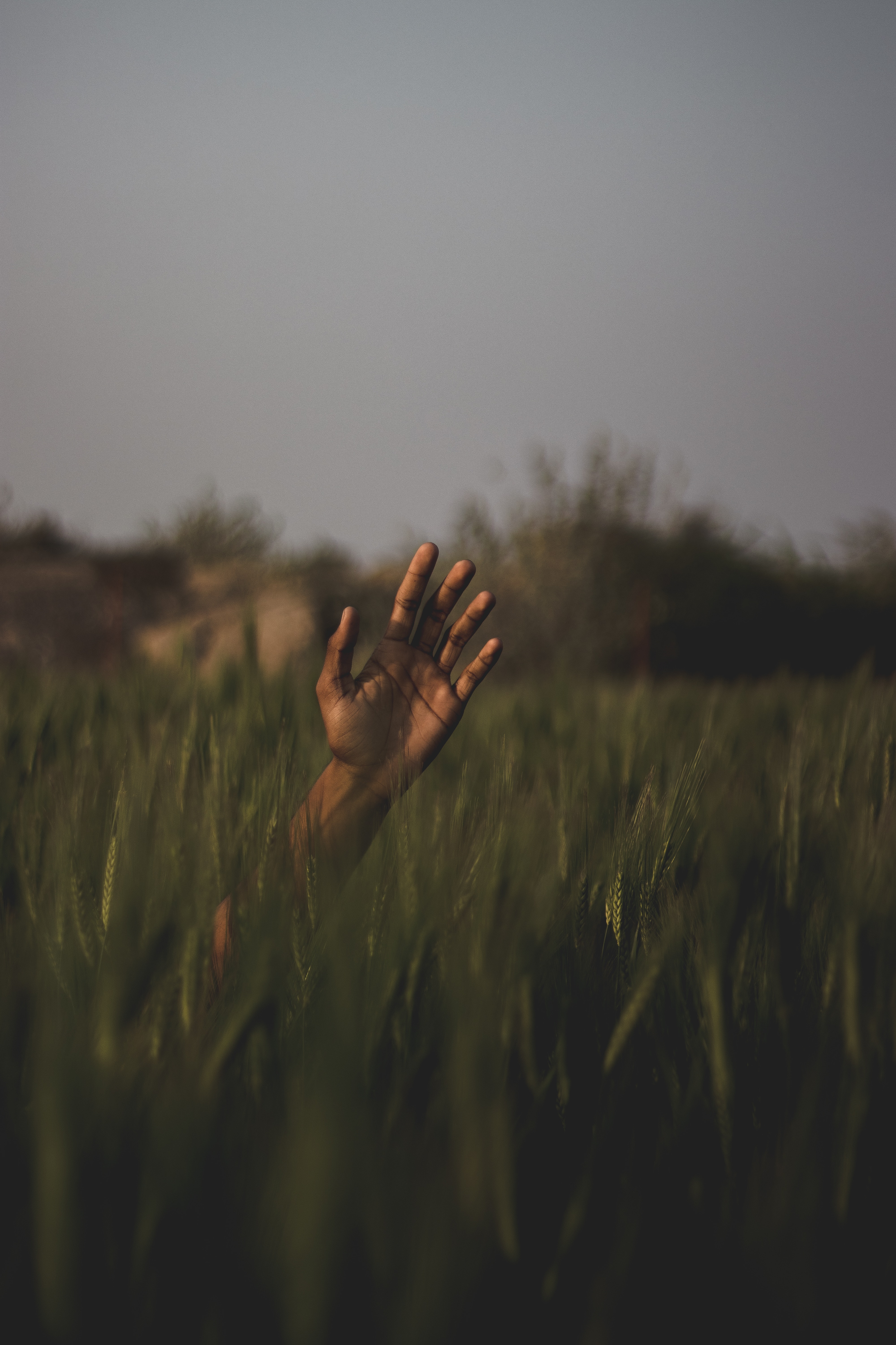 Person's hand on field photo