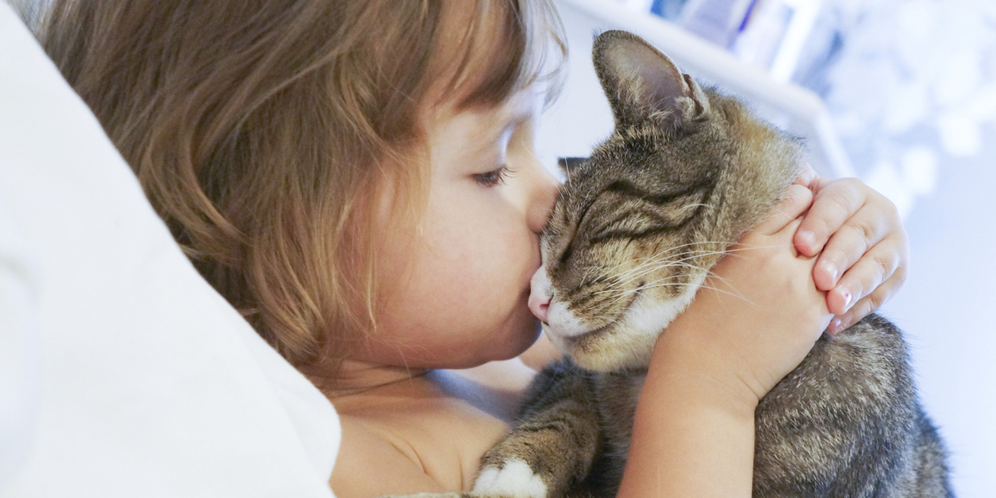 The 10 Incredible Ways Your Cat Shows You Love | HuffPost