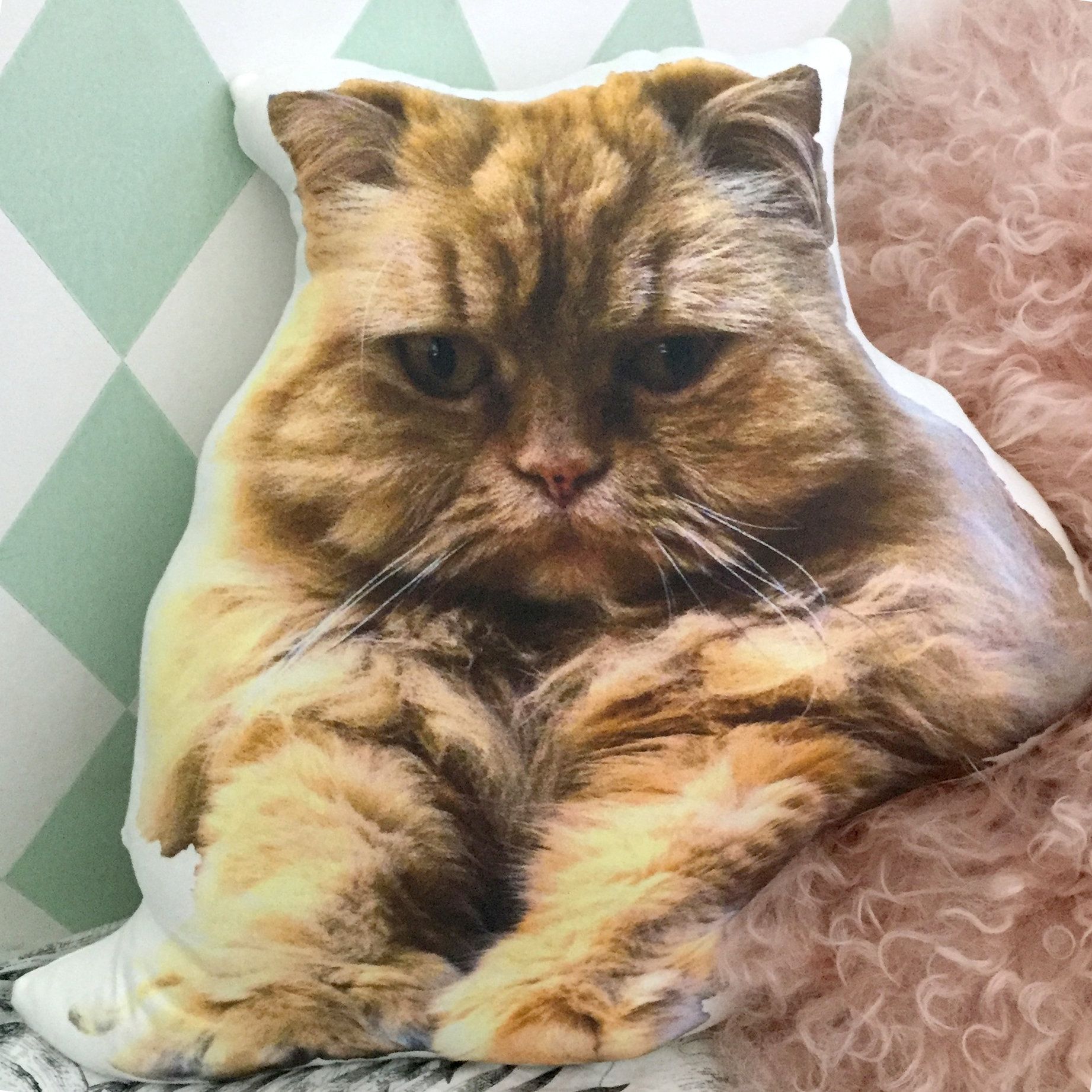 Pet Cat Portrait Pillow Custom pet pillow Personalised pillow ...