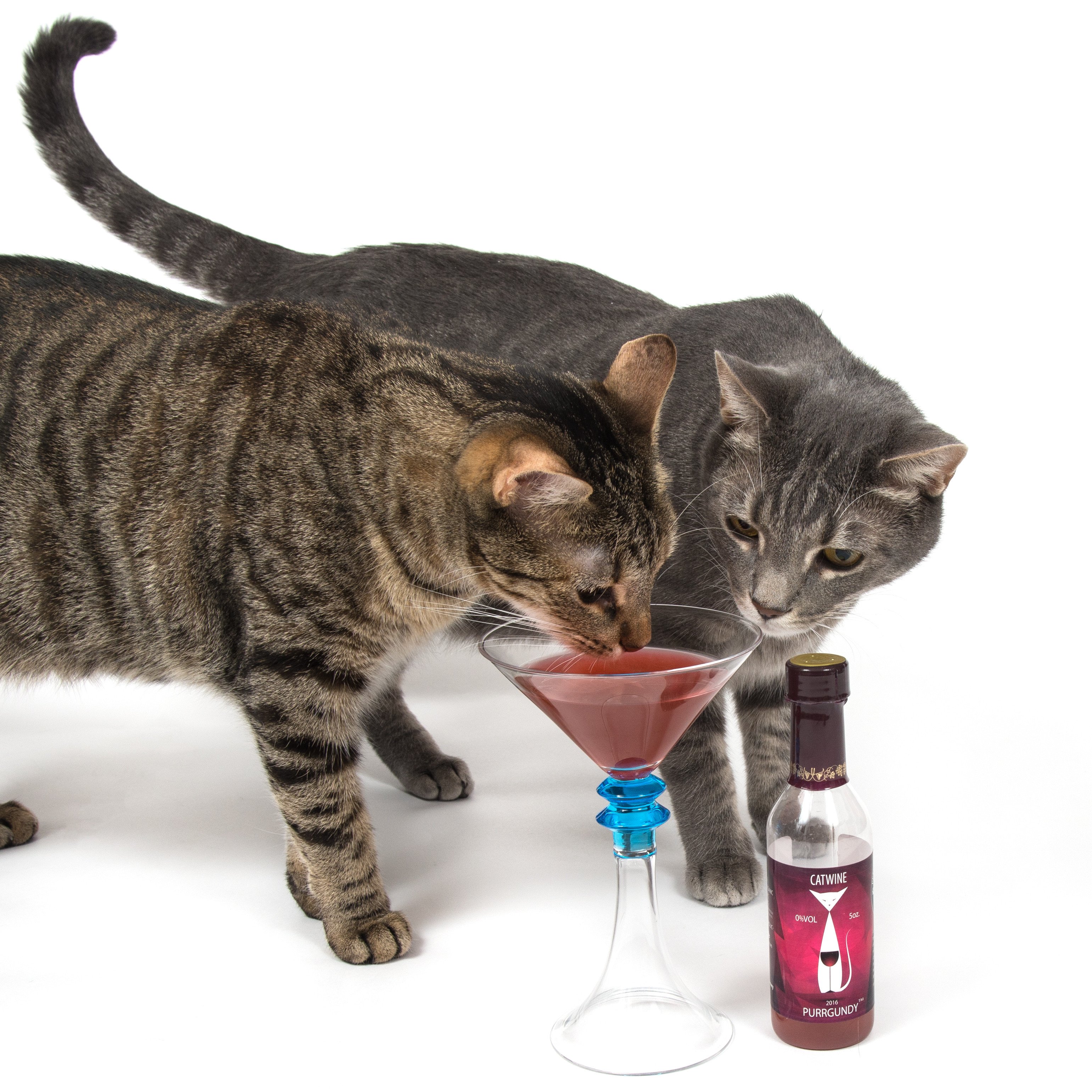 Cat Wine 5 oz Purrgundy – CatWine